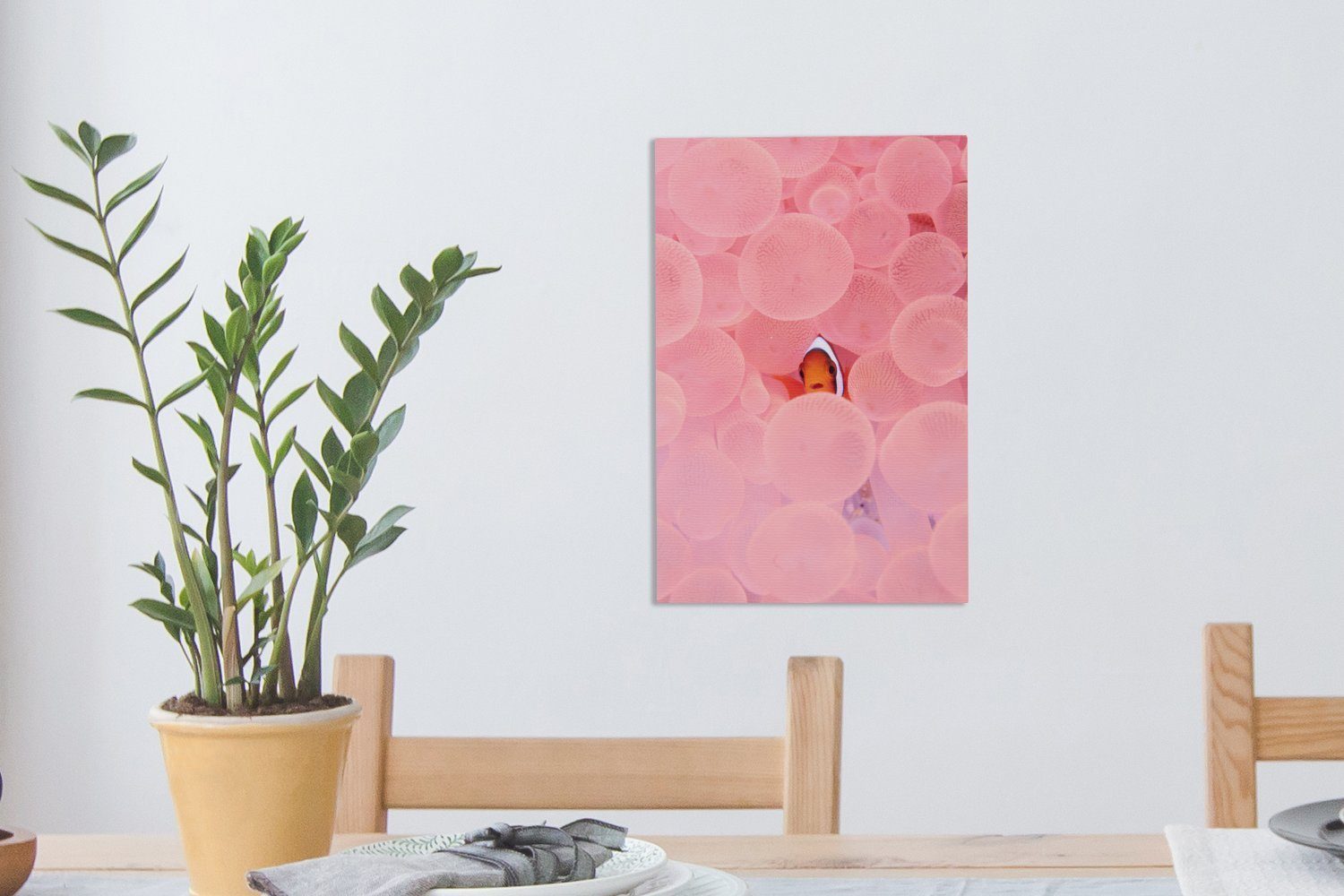 Clownfisch 20x30 Koralle, fertig Zackenaufhänger, in cm rosa OneMillionCanvasses® inkl. (1 St), bespannt Gemälde, Leinwandbild Leinwandbild