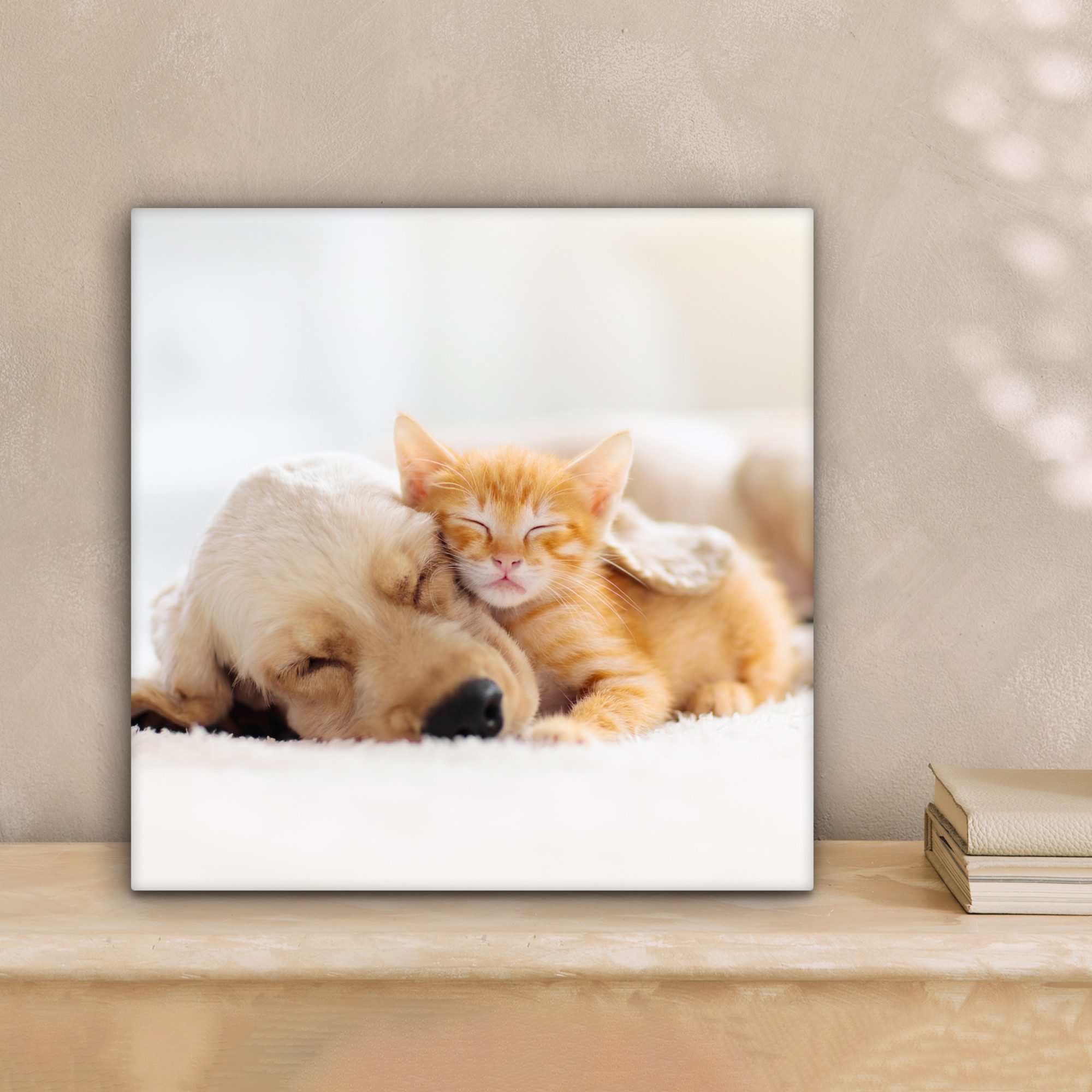 OneMillionCanvasses® Leinwandbild Tiere - Hund - günstig online kaufen