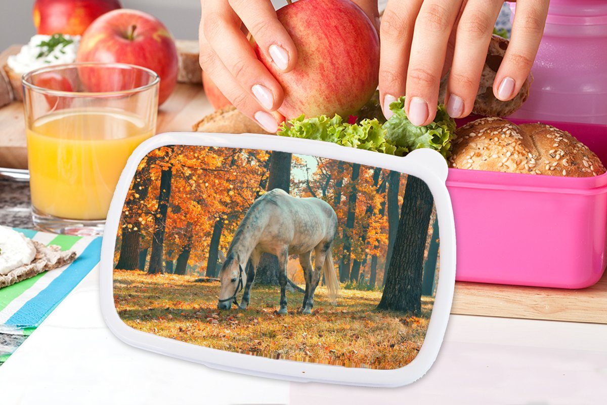 - rosa Herbst Pferd für Kunststoff, Brotbox Kunststoff Wald, (2-tlg), Lunchbox Kinder, Erwachsene, MuchoWow Mädchen, Brotdose Snackbox, -