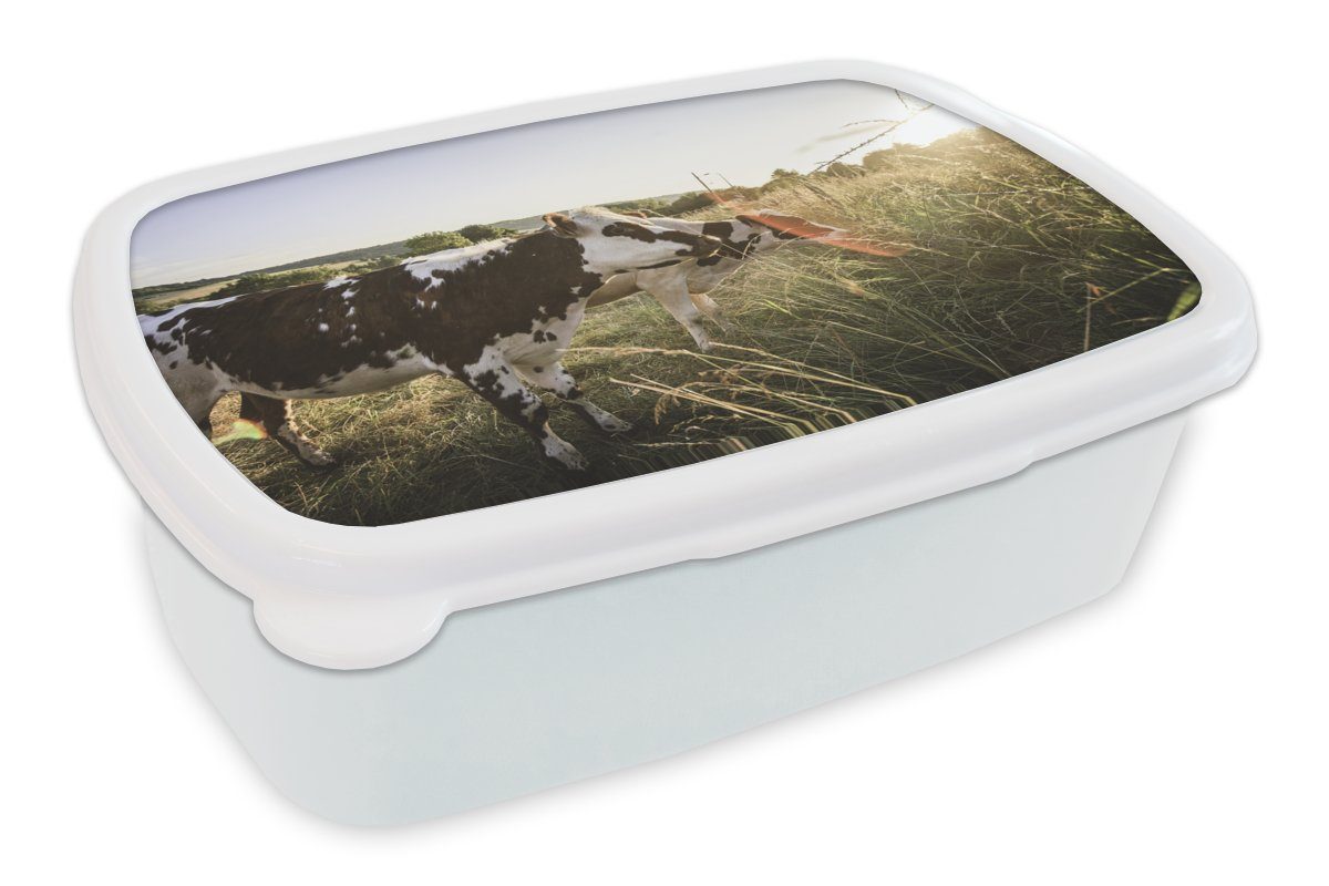 und MuchoWow Brotbox Licht Erwachsene, Kinder Mädchen - Lunchbox Kunststoff, Jungs weiß für für und (2-tlg), Natur, Brotdose, - Kühe