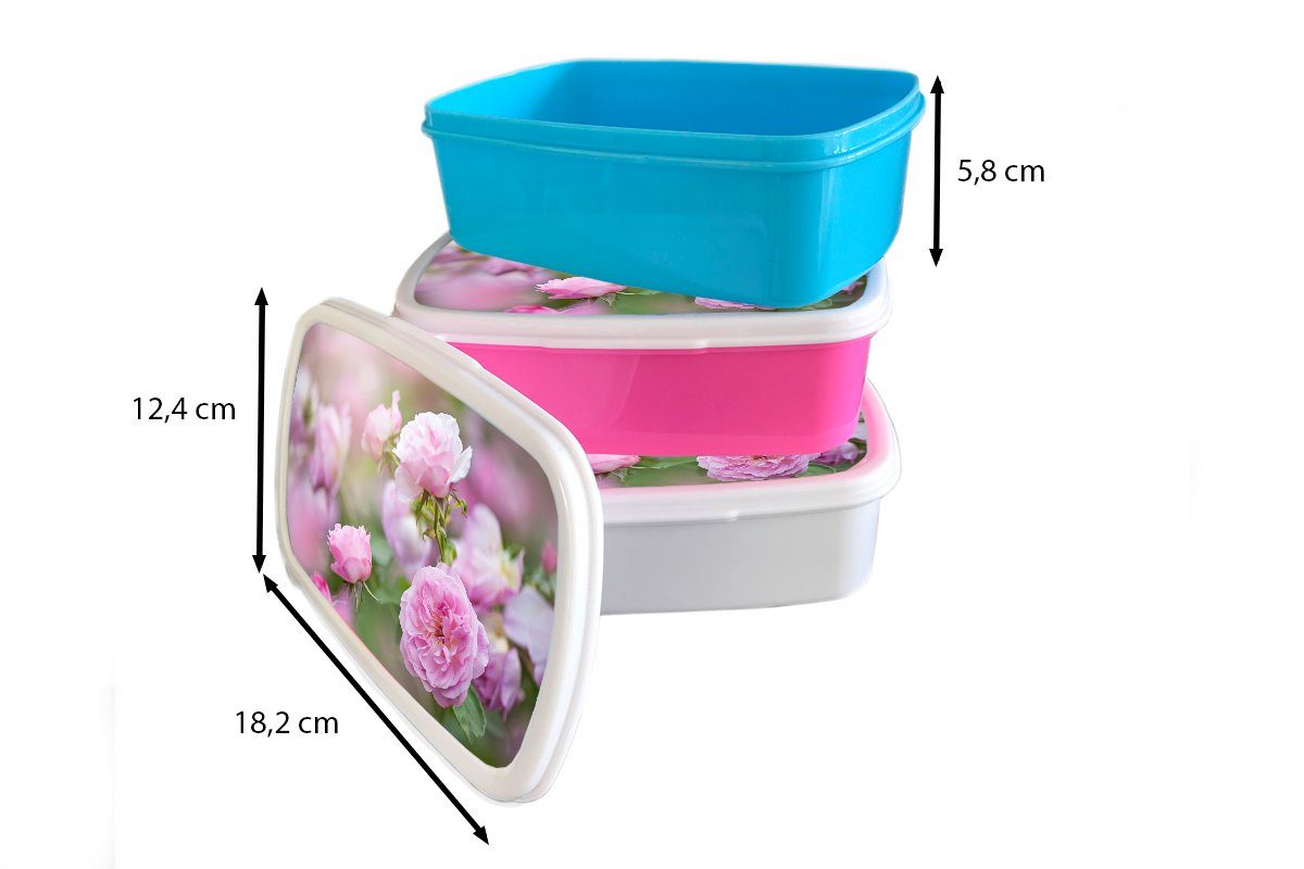 MuchoWow wachsen Lunchbox Mädchen Brotbox Rosen Erwachsene, in Natur, von weiß und Jungs Kinder und rosa (2-tlg), Brotdose, für der für Pflanzen Kunststoff,