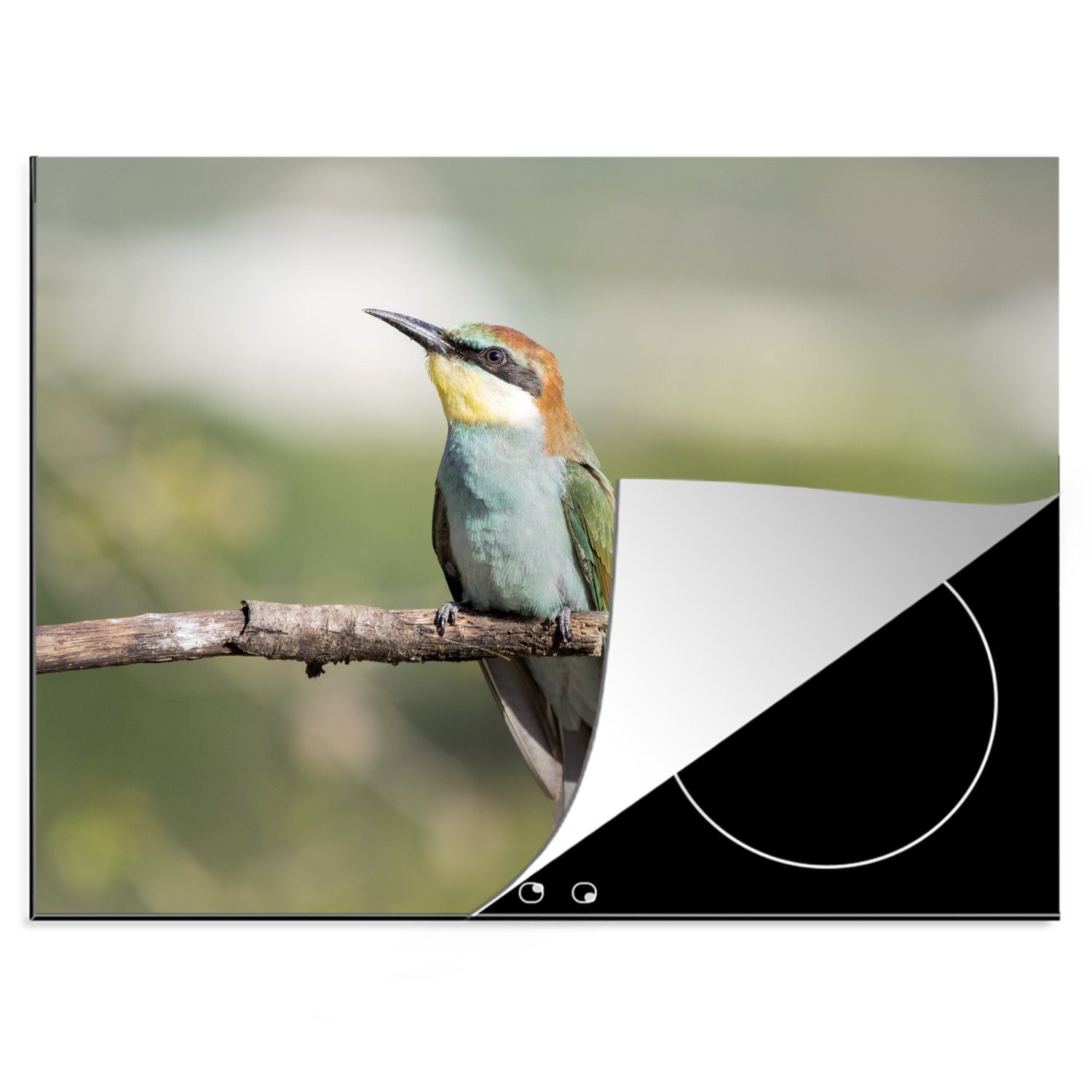 MuchoWow Herdblende-/Abdeckplatte Bunter Vogel in einem Baum, Vinyl, (1 tlg), 70x52 cm, Mobile Arbeitsfläche nutzbar, Ceranfeldabdeckung