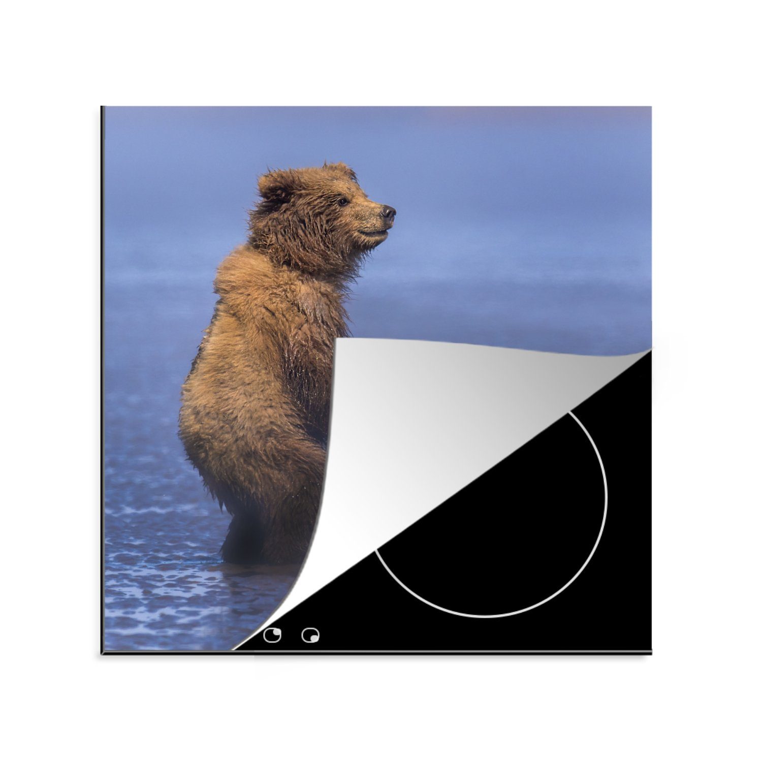 MuchoWow Herdblende-/Abdeckplatte Braunbär steht aufrecht am Meer, Vinyl, (1 tlg), 78x78 cm, Ceranfeldabdeckung, Arbeitsplatte für küche