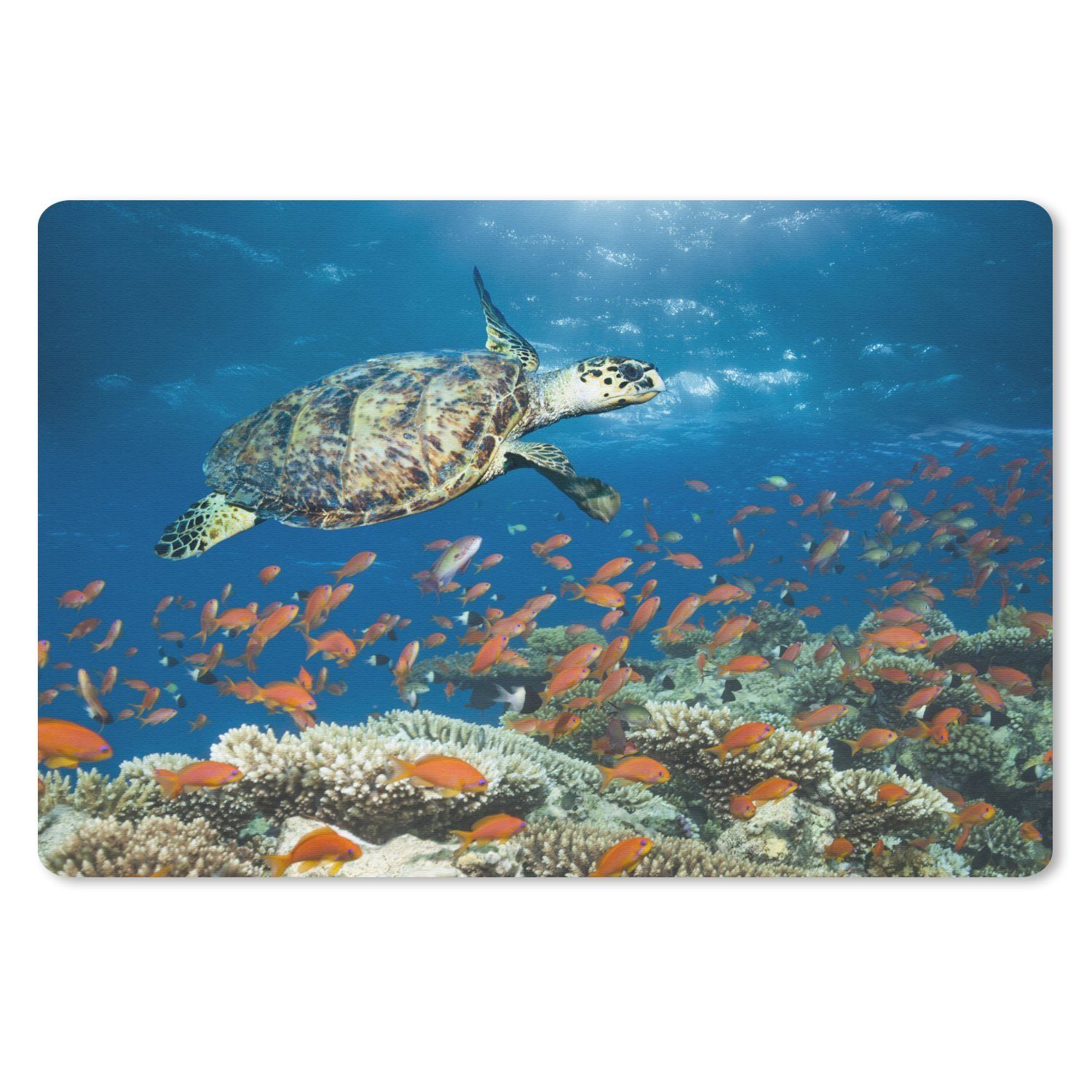 MuchoWow Mauspad Korallenriff mit Schildkröte (1-St), Mouse pad Klein, Gaming Deko, PC Zubehör, 27x18 cm