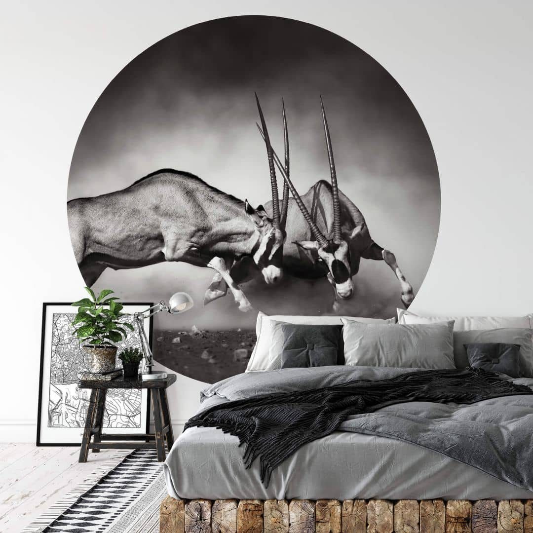 K&L Wall Art Fototapete Das Duell, Vliestapete, rund, Antilopen Hirsch Waldtiere Tapete, Oryx Tapete