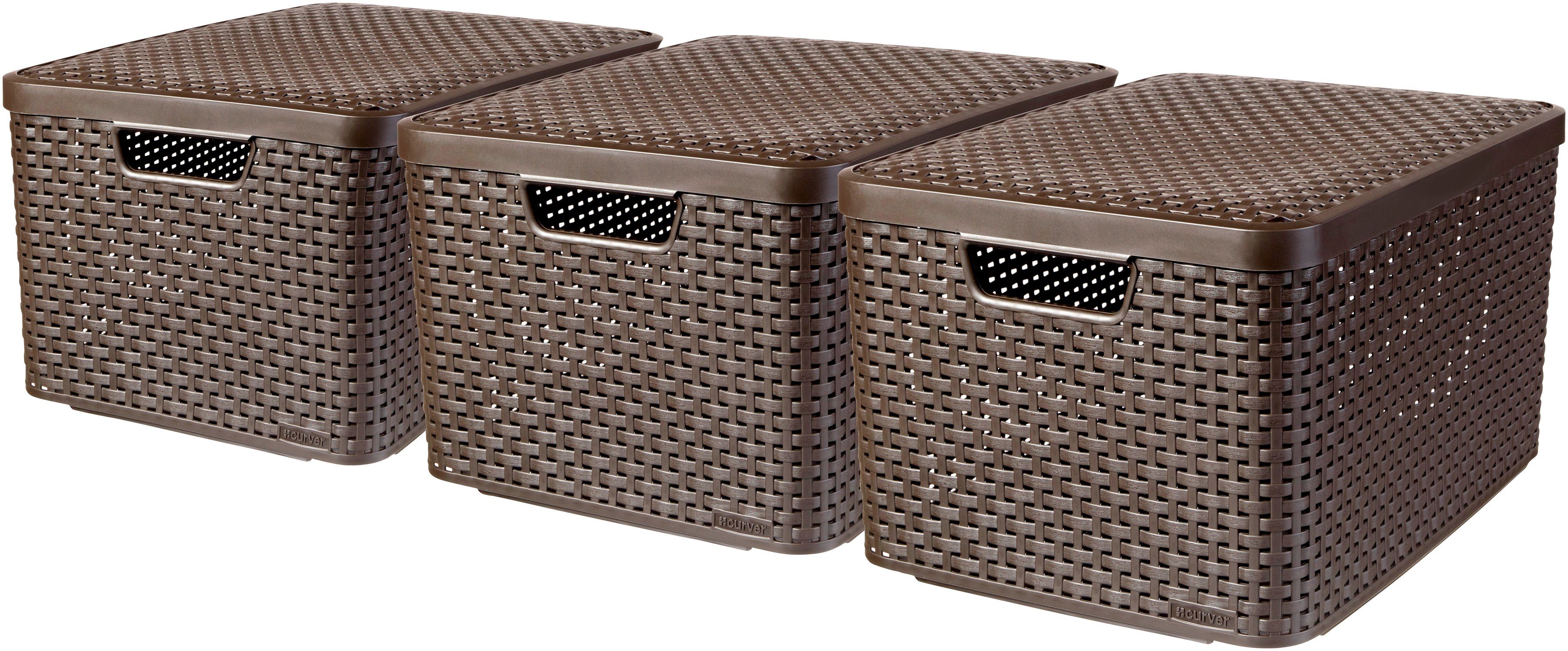 CURVER Aufbewahrungsbox »STYLE Box L«, 3´erSet OTTO