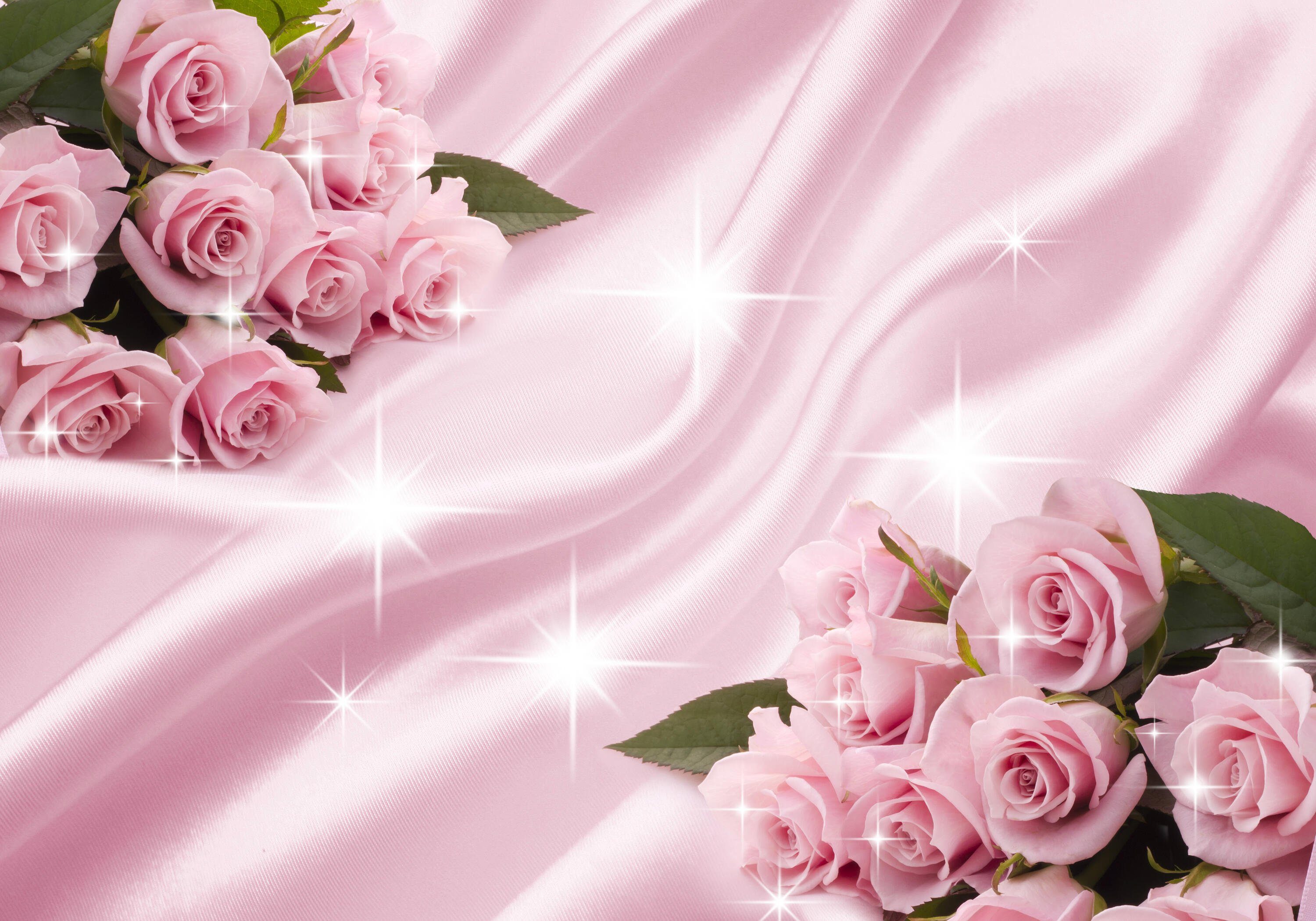 Motivtapete, Vliestapete Fototapete rosa wandmotiv24 Rosen Rosenblüten, matt, glatt, Wandtapete,