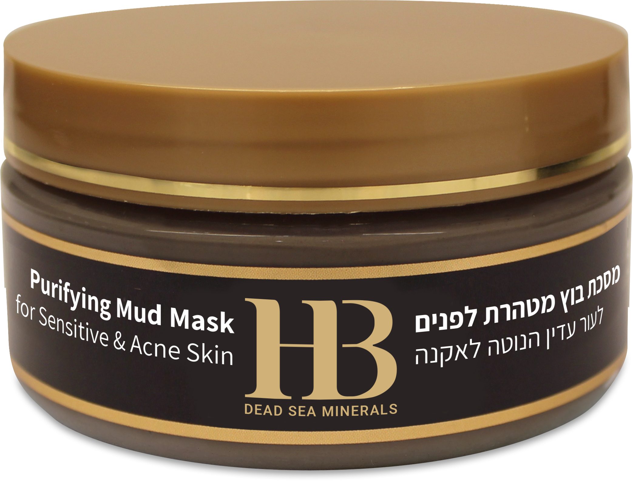 Gesichtsmaske Health&Beauty Schlammmaske mit Aloe Vera & Mineralien 220gr