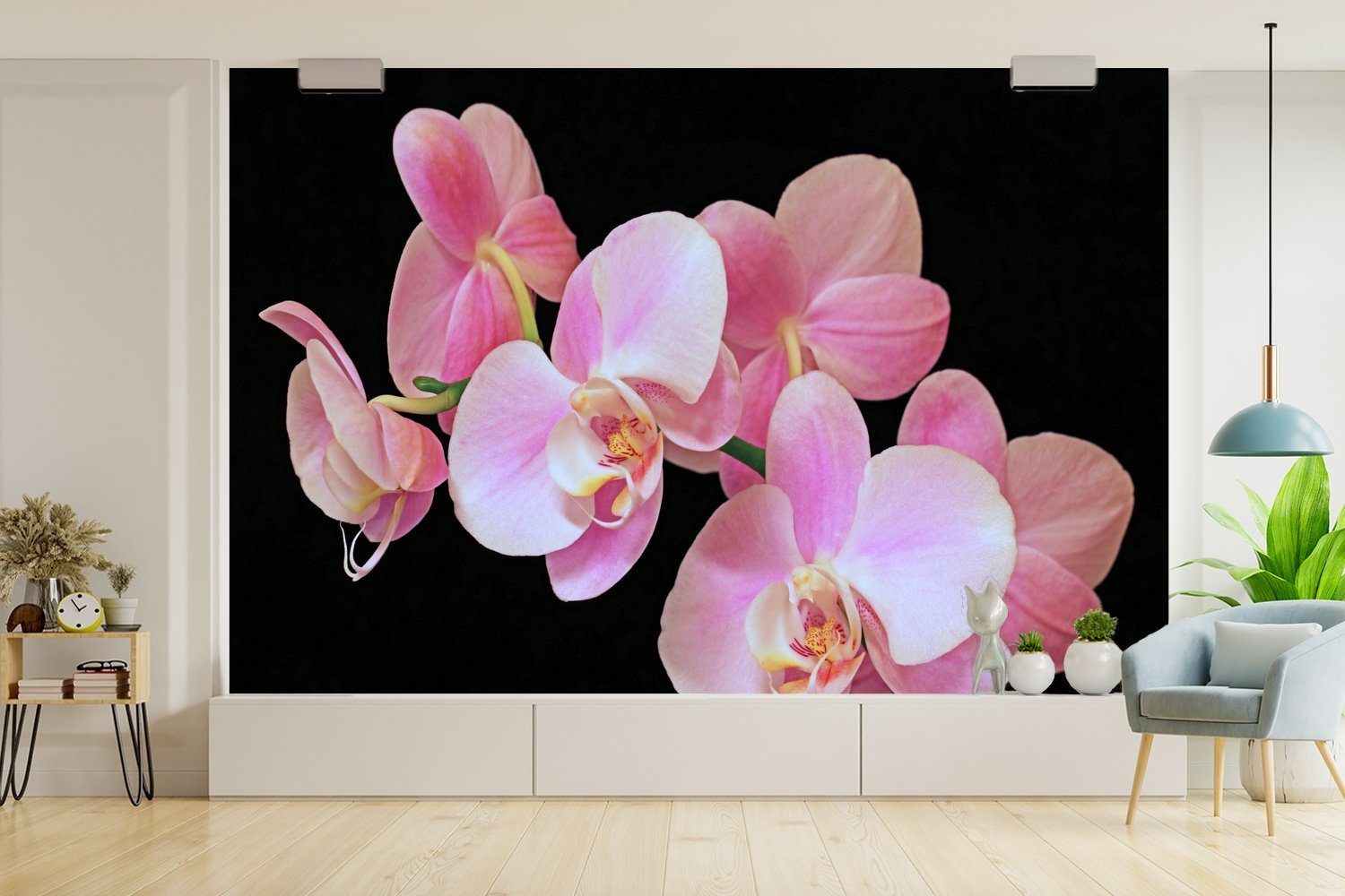 Orchideen Fototapete Vinyl Kinderzimmer, für (6 schwarzen rosa Schlafzimmer, Hintergrund, Tapete Wallpaper von einem Matt, bedruckt, Nahaufnahme Wohnzimmer, MuchoWow St), auf Eine