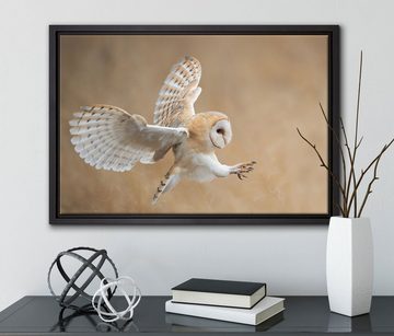 Pixxprint Leinwandbild Fliegende Weiße Eule bei der Jagd, Wanddekoration (1 St), Leinwandbild fertig bespannt, in einem Schattenfugen-Bilderrahmen gefasst, inkl. Zackenaufhänger