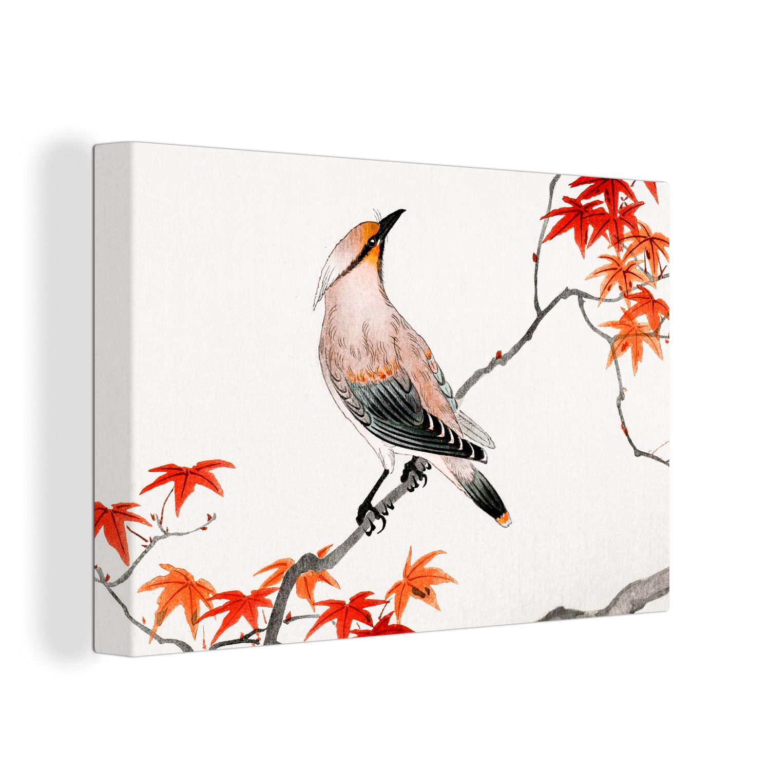 OneMillionCanvasses® Leinwandbild Japanischer Ahorn - Baum - Vögel, (1 St), Wandbild Leinwandbilder, Aufhängefertig, Wanddeko, 30x20 cm