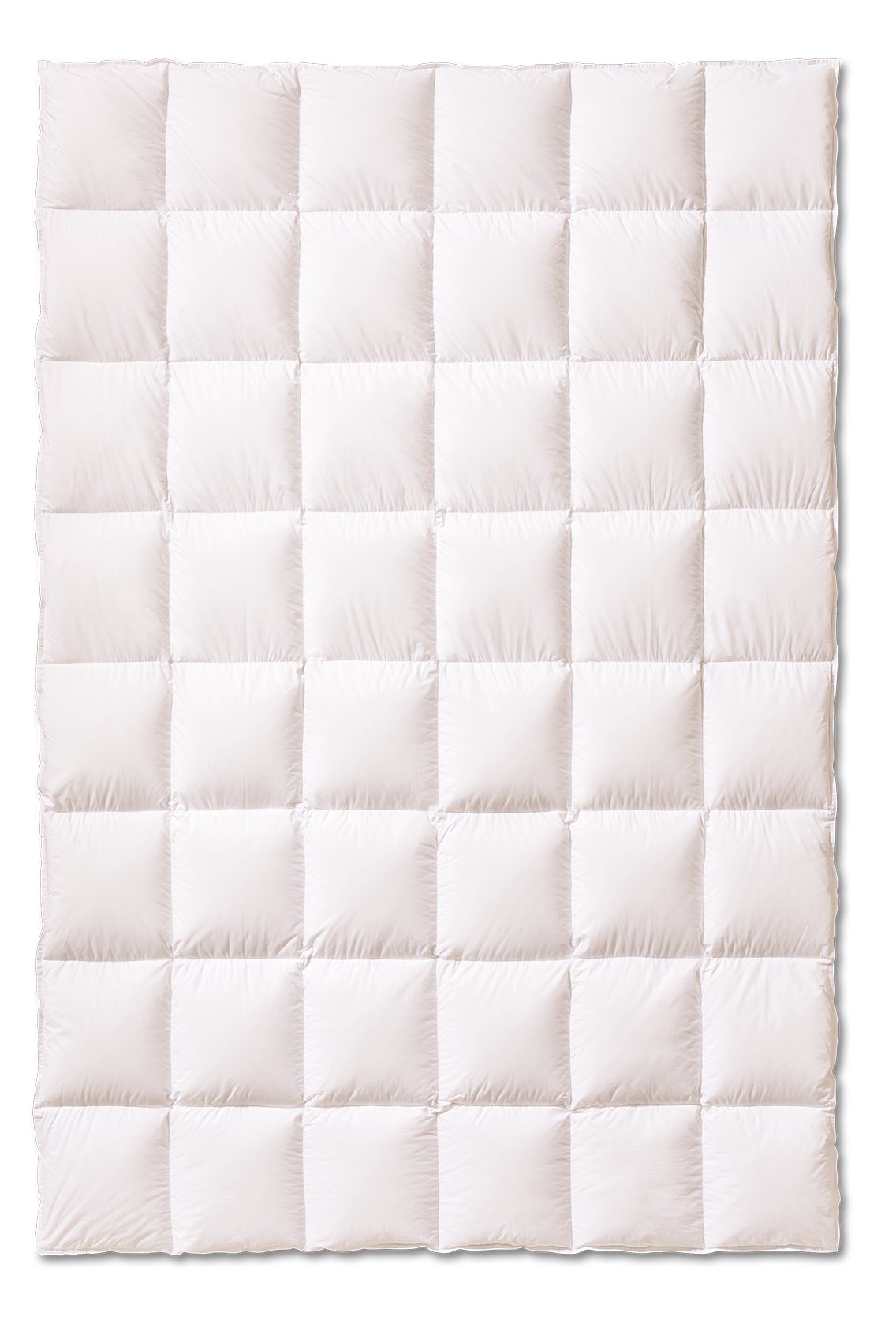 KÜNSEMÜLLER Daunenbettdecke Sweet Dreams Dauneneinziehdecke Medium - Ganzjahresdecke, Füllung: 90% Daunen 10% Federn, Bezug: 100% Baumwolle, Atmungsaktiv und feuchtigkeitsregulierend