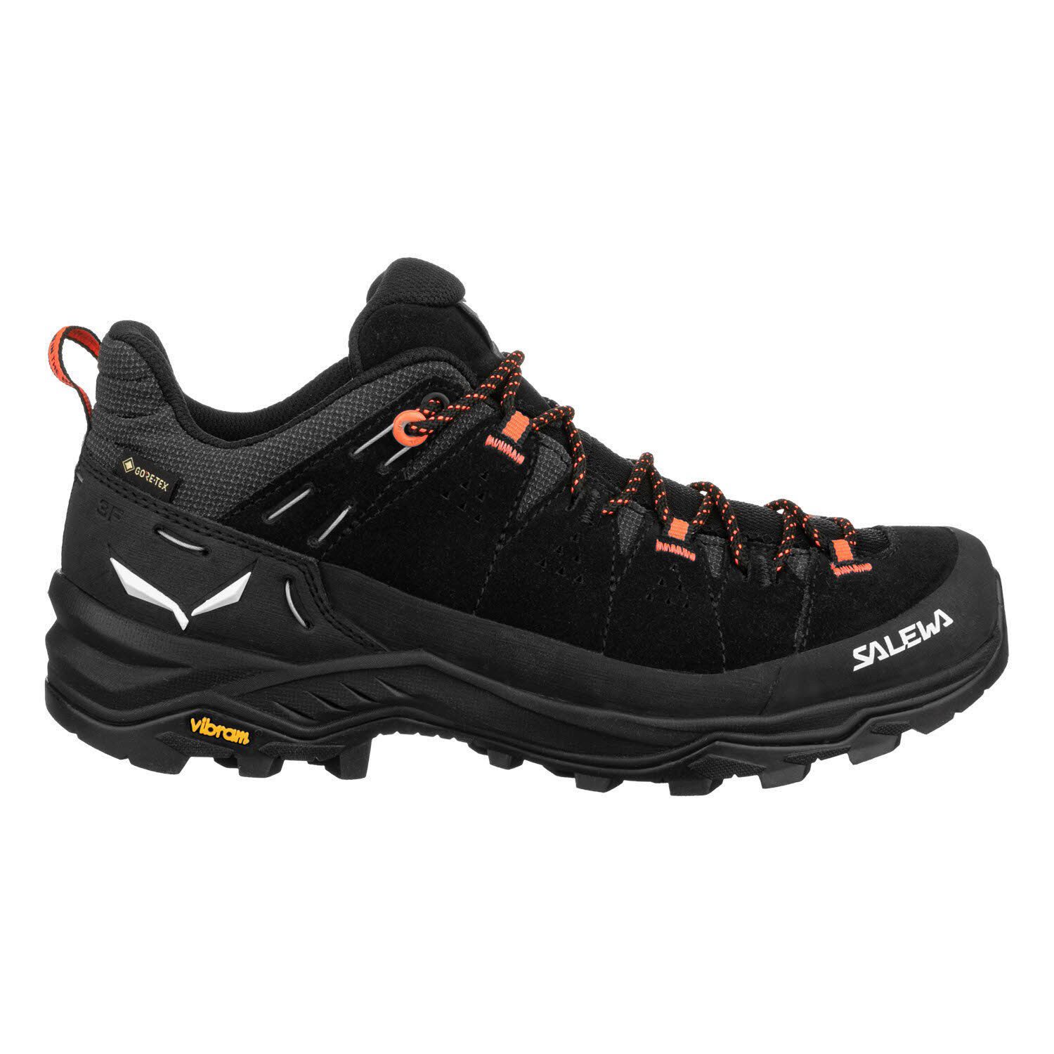Salewa ALP TRAINER 2 GTX Outdoorschuh