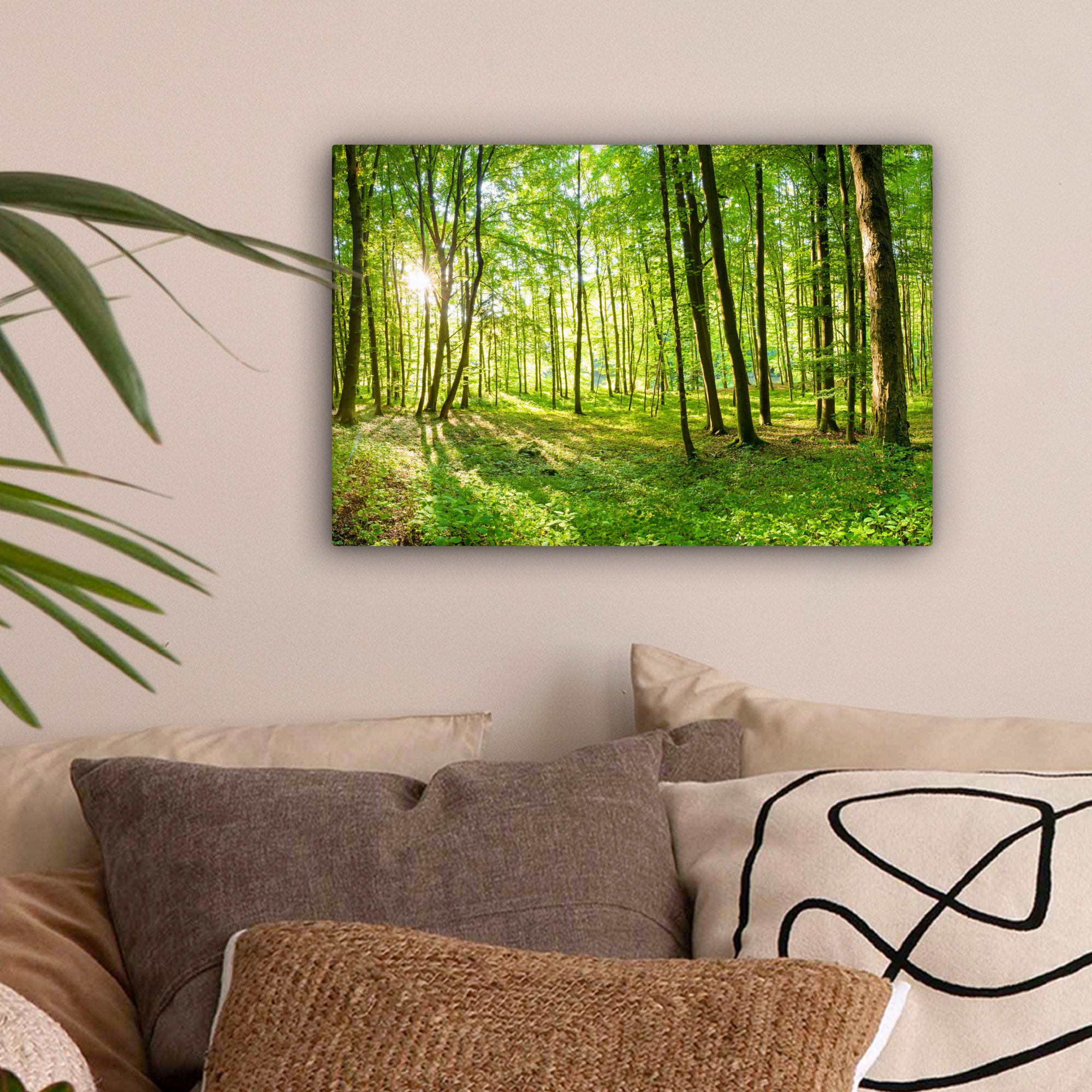 OneMillionCanvasses® Leinwandbild Natur - Bäume - Wald - Grün - Sonnenlicht günstig online kaufen