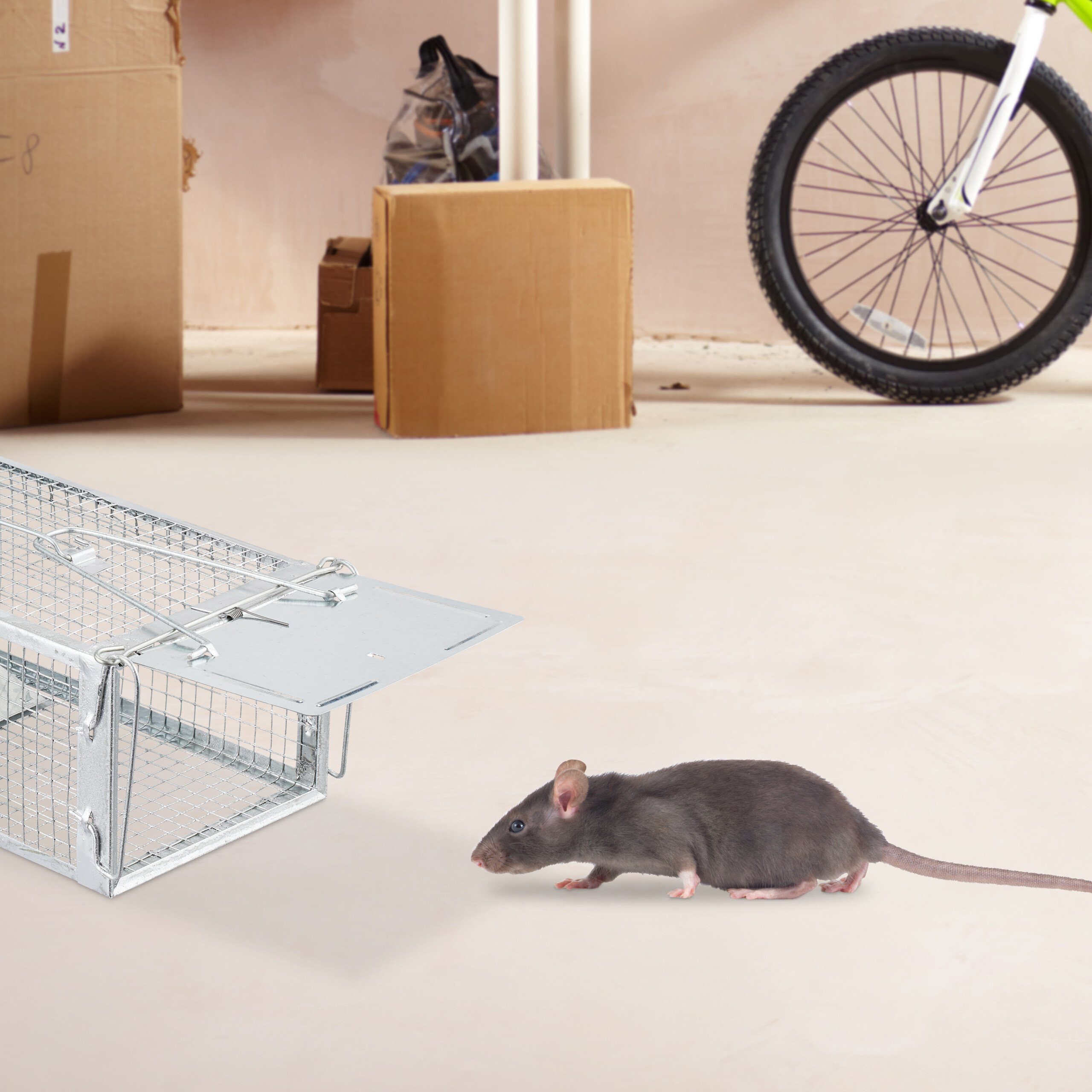 relaxdays Lebendfalle für Mäuse und Ratte