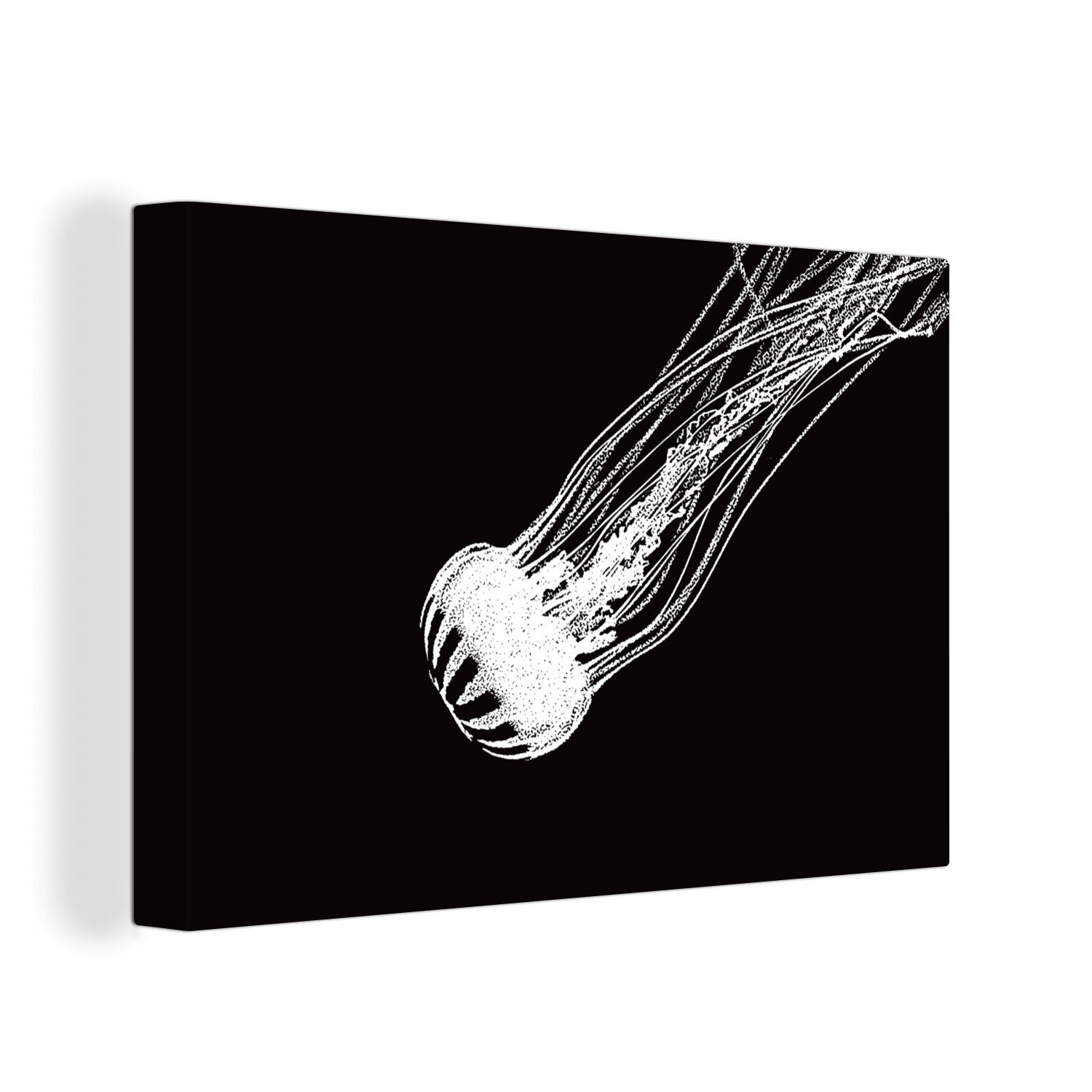 OneMillionCanvasses® Leinwandbild Qualle - Illustration - Schwarz, (1 St), Wandbild Leinwandbilder, Aufhängefertig, Wanddeko, 30x20 cm