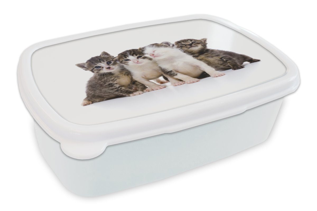 MuchoWow Lunchbox Katze - Haustiere - Fell - Porträt, Kunststoff, (2-tlg), Brotbox für Kinder und Erwachsene, Brotdose, für Jungs und Mädchen weiß