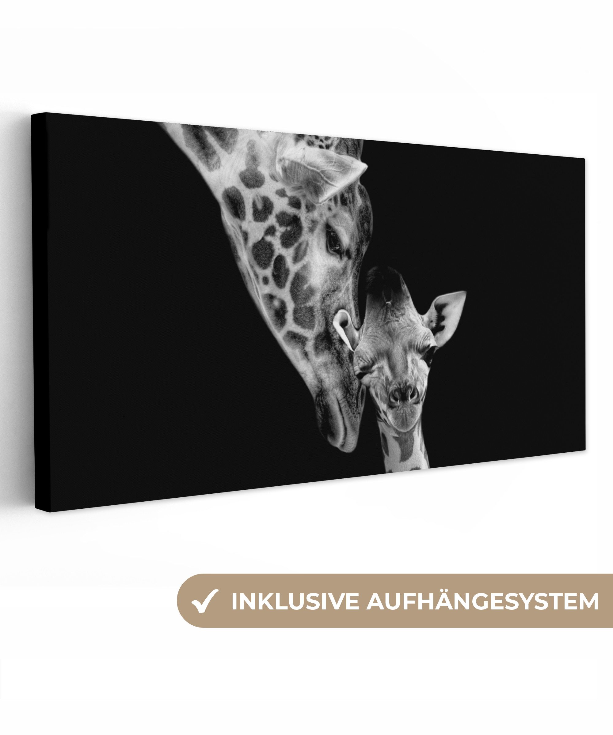 OneMillionCanvasses® Leinwandbild Panorama Porträt - Giraffe günstig online kaufen