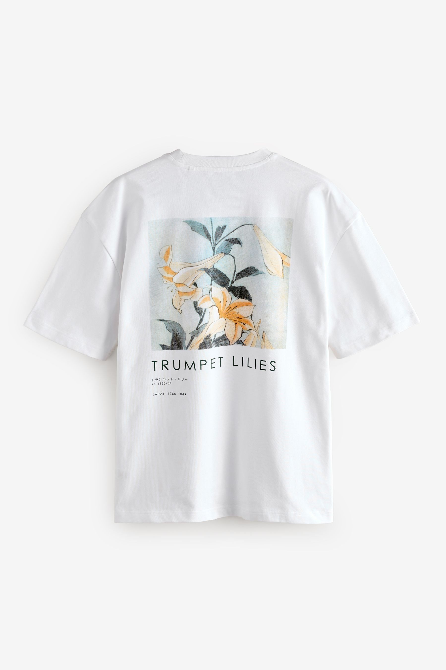 Next T-Shirt Offizielles Künstler T-Shirt im günstig online kaufen