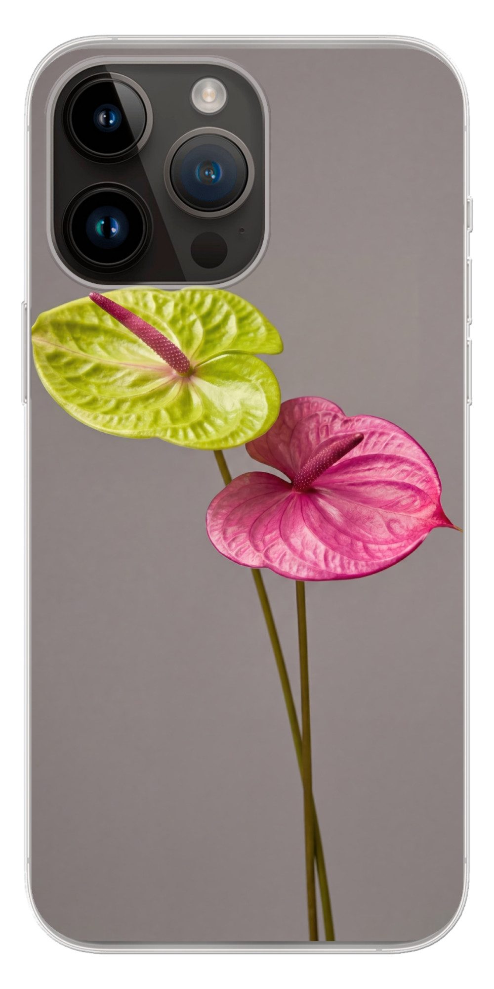 MuchoWow Handyhülle für Apple iPhone 14 Pro Max Pflanzen - Anthurium - Grün - Rosa, Smartphone-Bumper, Print, Handy Schutzhülle Dünn