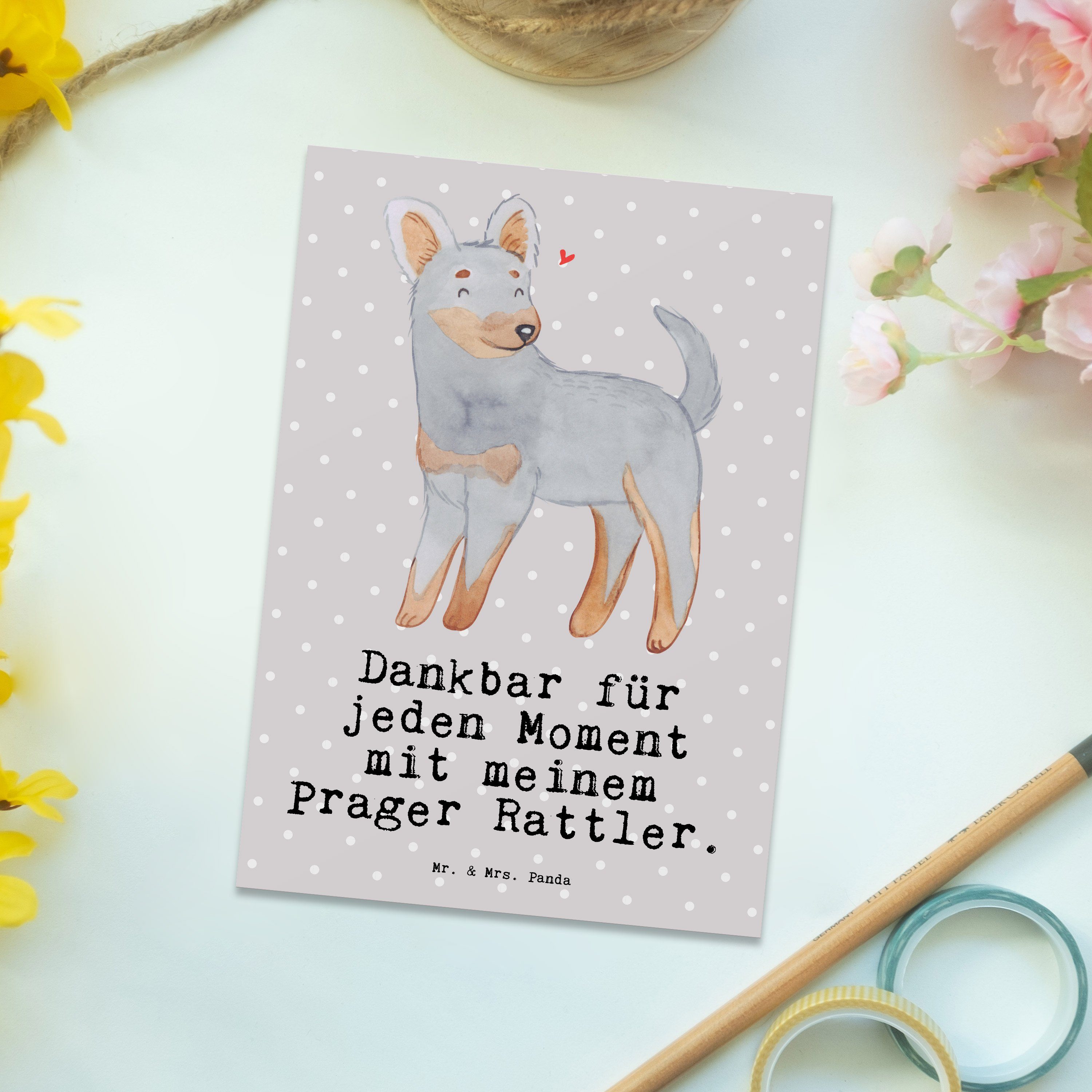 - Prager Geschenk, Panda Grau - Ansichtsk & Mr. Grußkarte, Pastell Rattler Mrs. Moment Postkarte