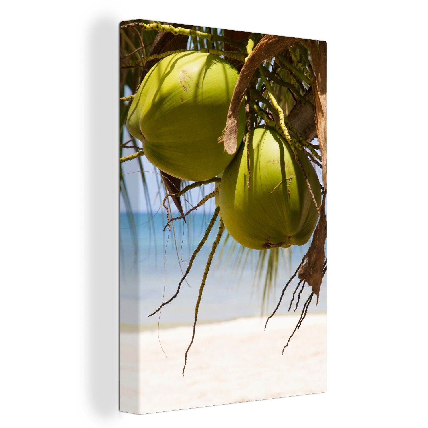 OneMillionCanvasses® Leinwandbild Zwei Kokosnüsse an einem tropischen Strand unter den Blättern, (1 St), Leinwandbild fertig bespannt inkl. Zackenaufhänger, Gemälde, 20x30 cm | Leinwandbilder