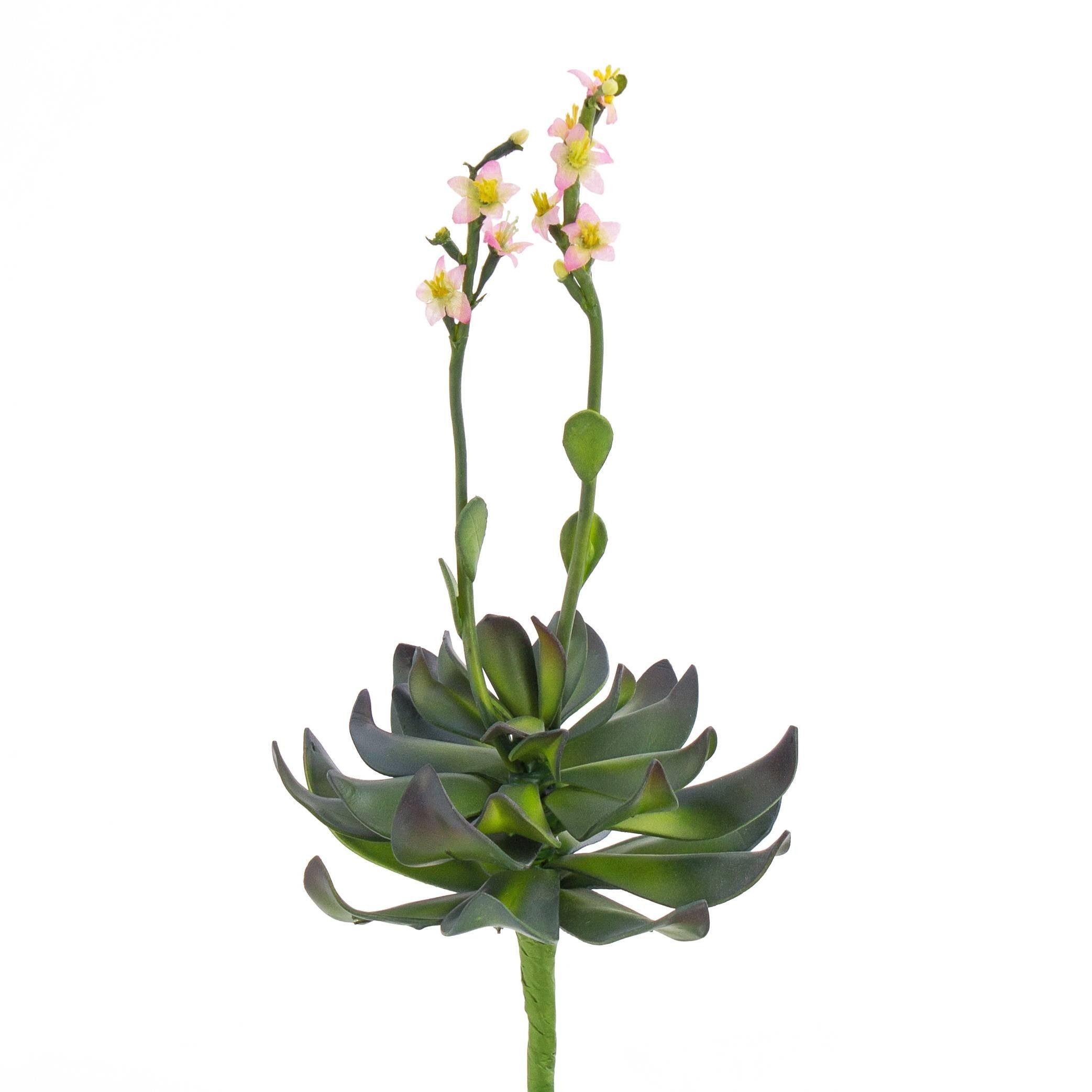 Kunstpflanze Aeonium auf Steckstab, rosa Blüten, 30cm - Künstliche Sukkulente Aeonium, artplants, Höhe 30.0 cm