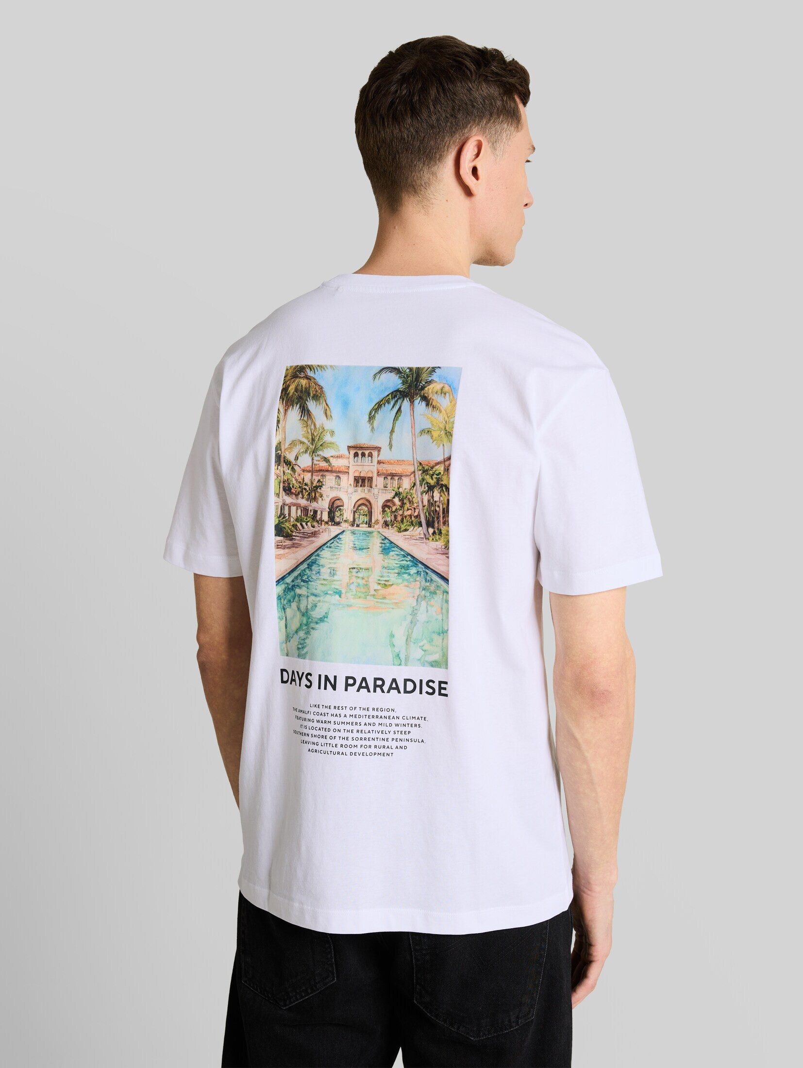 TOM TAILOR Denim T-Shirt T-Shirt Relaxed Fit T-Shirt mit Fotoprint