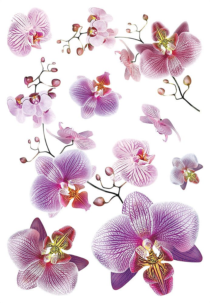 Sanders & Sanders Wandtattoo Blumen