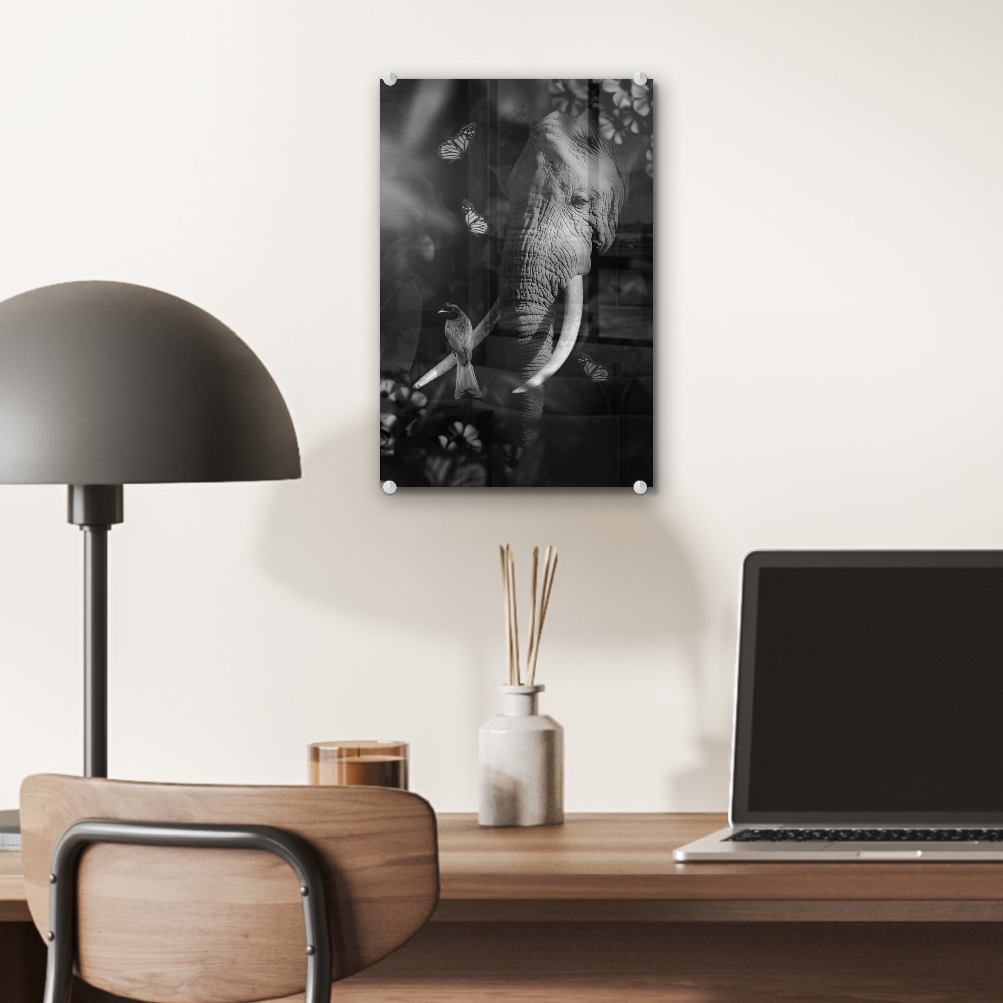 MuchoWow Acrylglasbild eines (1 Wanddekoration eines Glas - Dschungel auf Vogels Porträt Foto bunt - Glasbilder Bilder - Elefanten im - und St), Glas auf Wandbild schwarz und