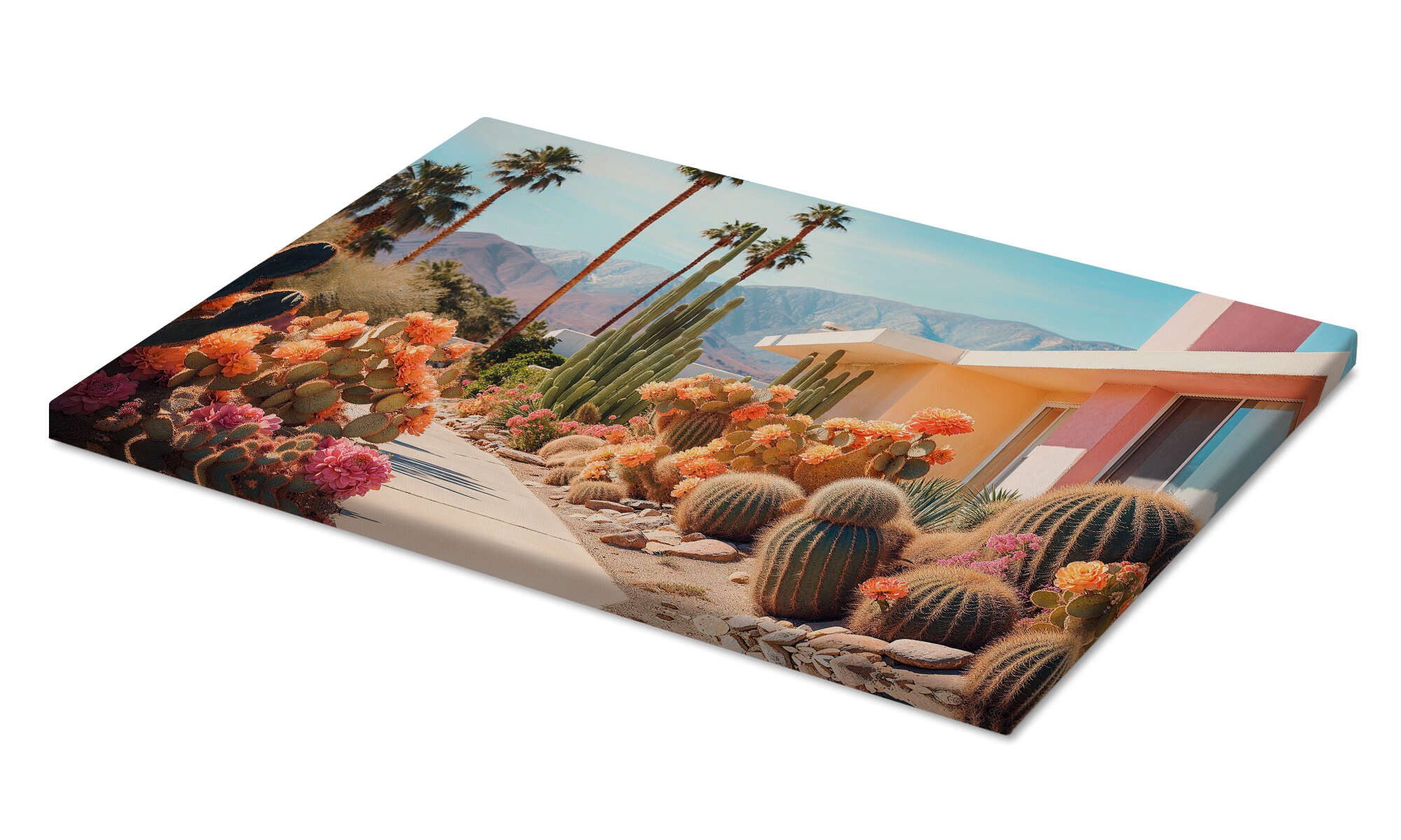 Posterlounge Leinwandbild Philippe HUGONNARD, California Dreaming - Kaktusl günstig online kaufen