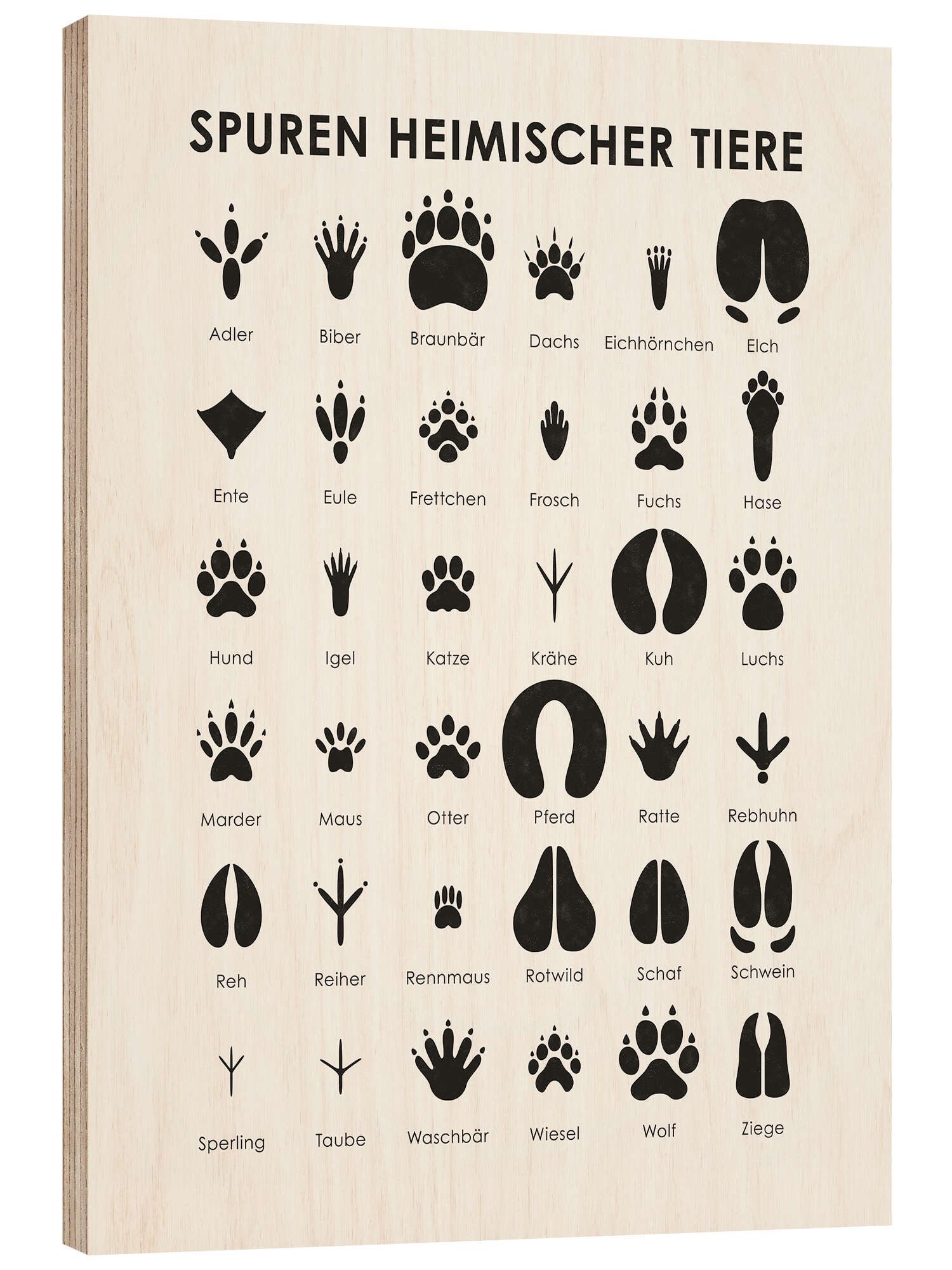 Posterlounge Wandbild Spuren heimischer Tiere I, Iris Luckhaus, erhältlich günstig online kaufen