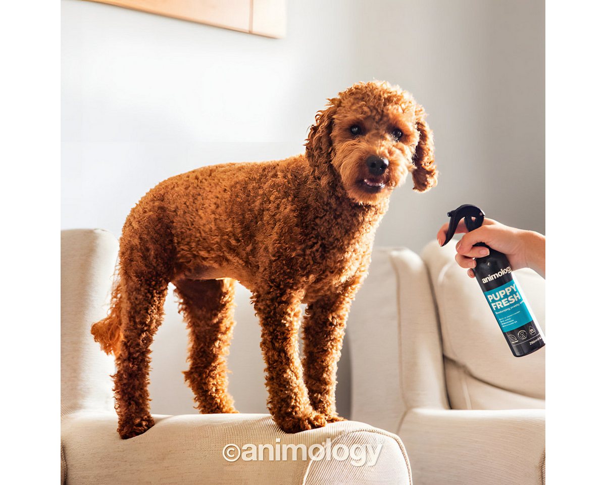 Thumbnail - Animology Fellpflege Welpen Körperspray Fresh Deodorising Puppy Spray 250 ml
