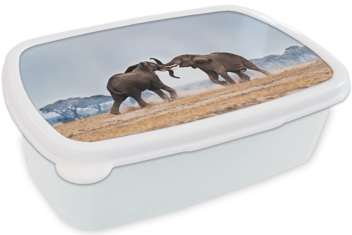 Kinder - MuchoWow Jungs Kunststoff, - weiß und Flachland Lunchbox und Brotbox - Tiere für Erwachsene, Mädchen (2-tlg), Elefant Natur, für Brotdose,