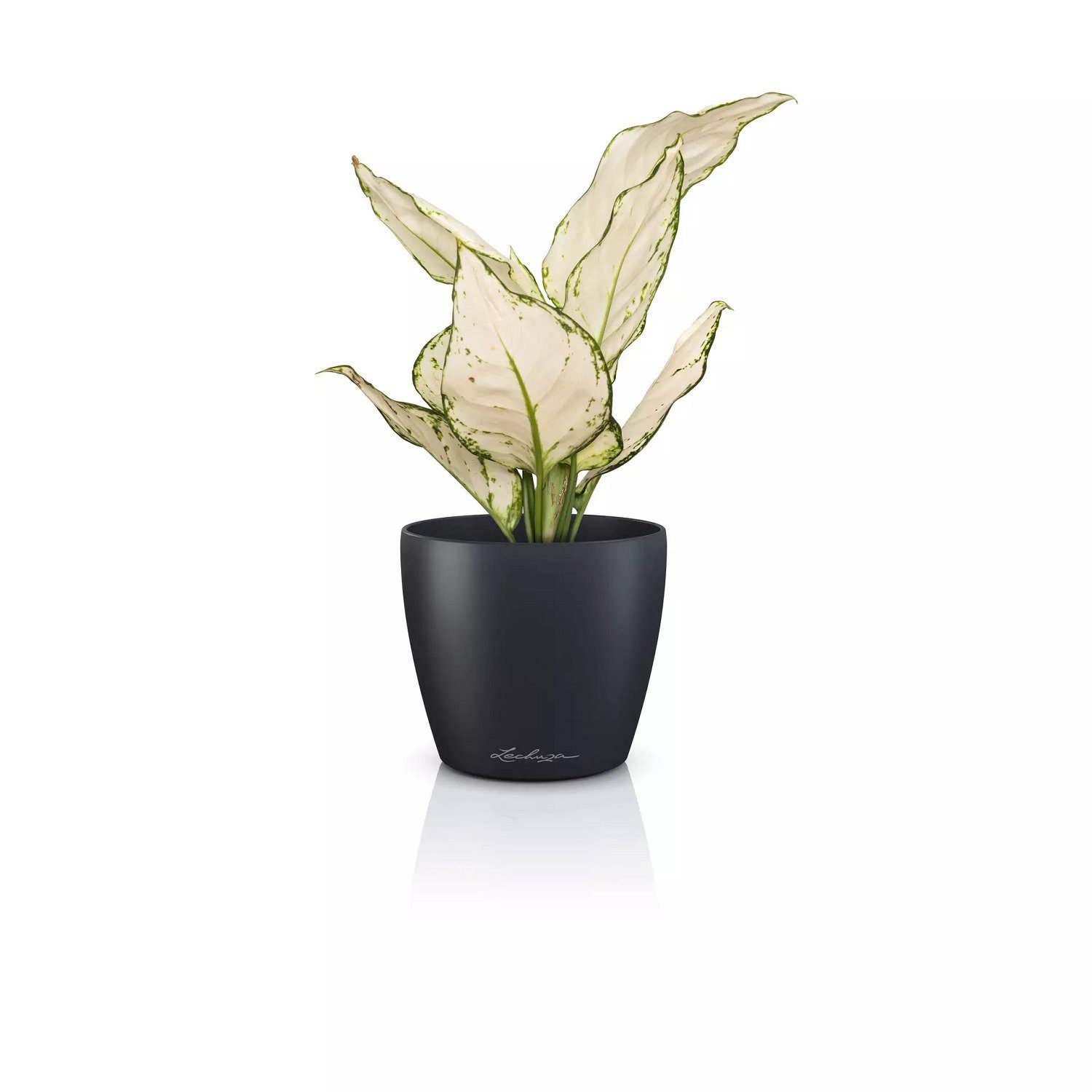 Lechuza® Übertopf Classico Color 12 DECO schiefergrau