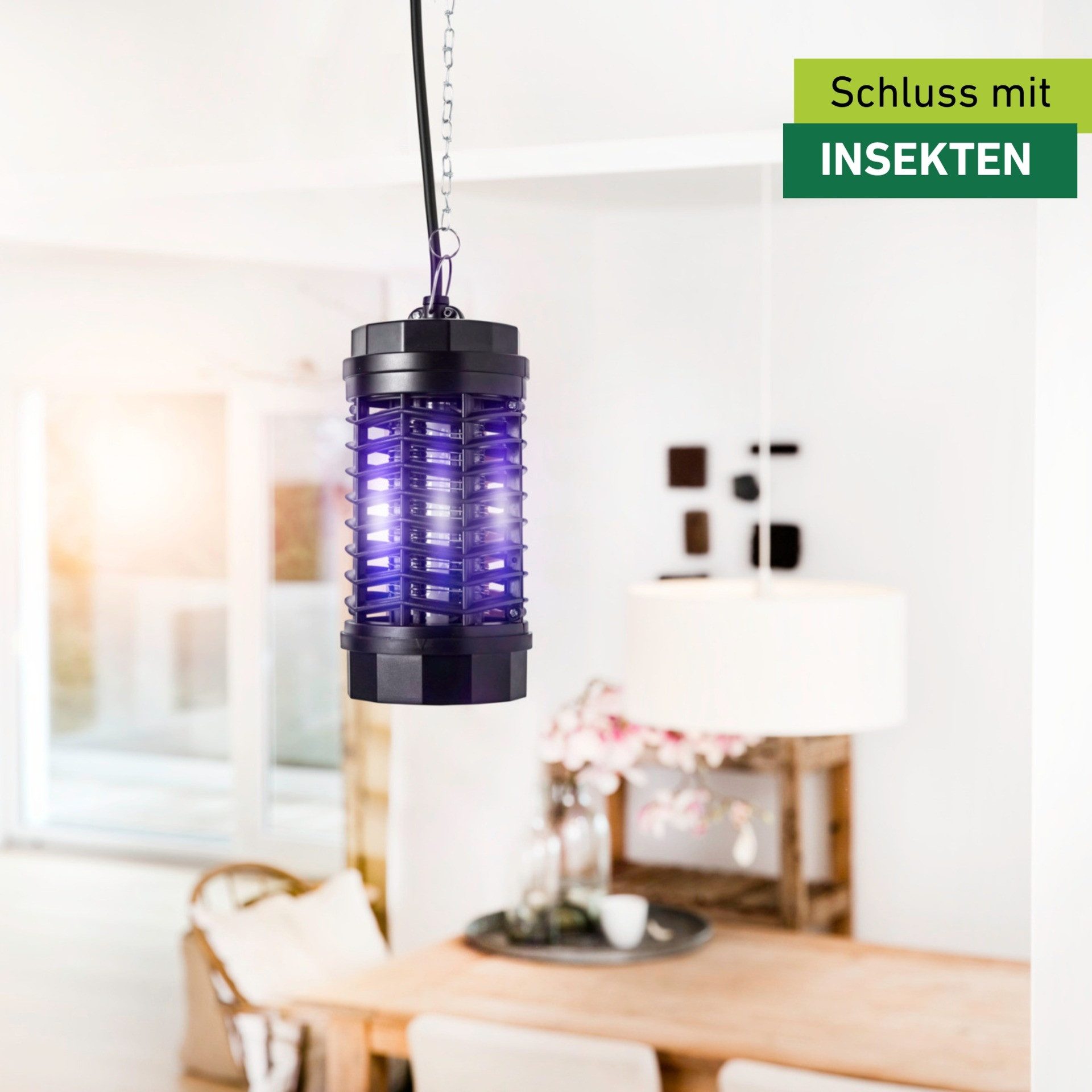 Windhager Insektenfalle für Fluginsekten, Schutzlampe für den Fang von Insekten, vollisoliertes Kunststoffgehäuse, UV-Lampe mit 4 Watt