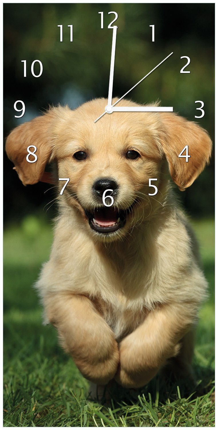 Wallario Wanduhr Süßer Hund - Golden Retriever (Uhr aus Acryl) | Wanduhren