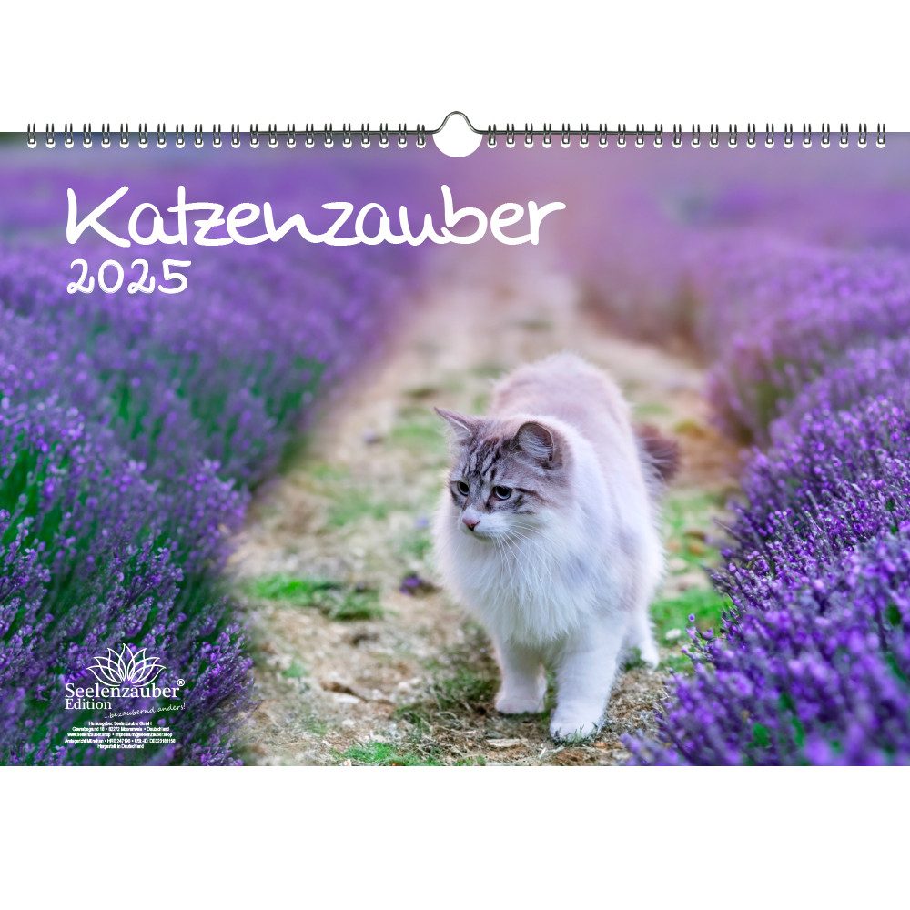Seelenzauber Wandkalender Katzenzauber DIN A3 Kalender für 2025 Katzen und Katzenbabys