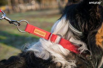 amiplay Hunde-Halsband Cotton, Baumwollgurtband, Hunde Schlupfhalsband COTTON