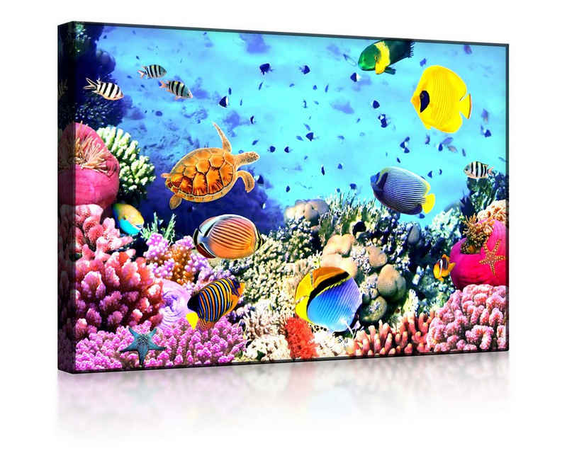lightbox-multicolor LED-Bild Bunte Fische über Korallenriff front lighted / 60x40cm, Leuchtbild mit Fernbedienung