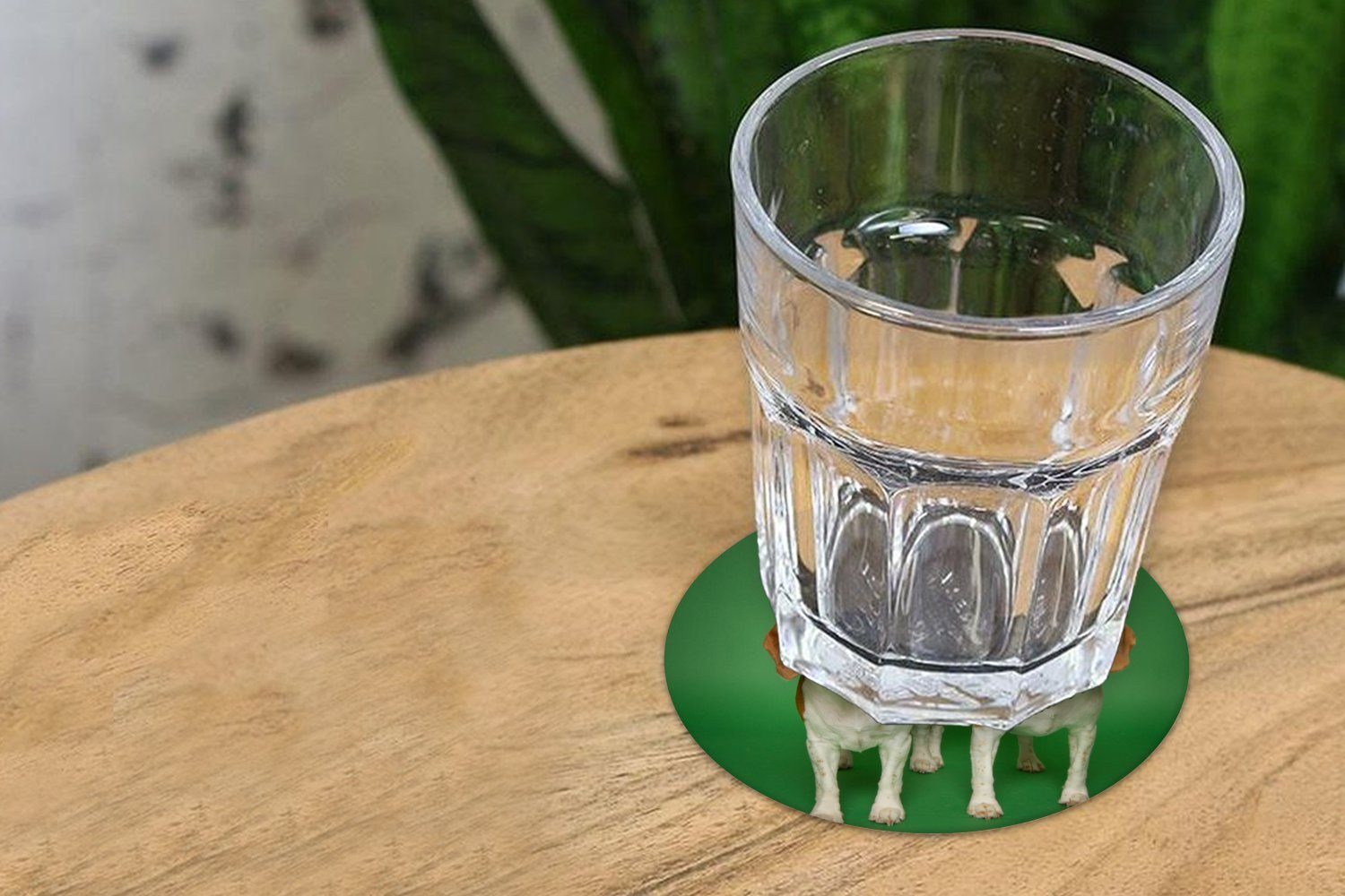 MuchoWow Glasuntersetzer schöne Getränkeuntersetzer, Zwei grünem Zubehör Gläser, auf Korkuntersetzer, Hintergrund, Beagles Tassenuntersetzer, Becher für 6-tlg., Tasse