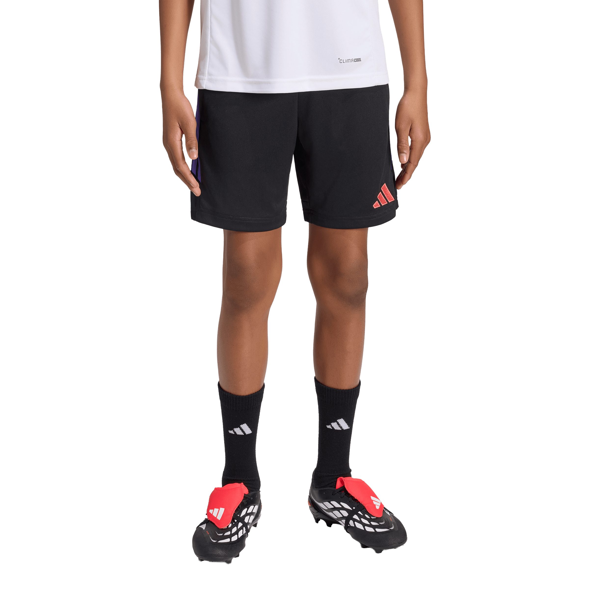 Trainingsshorts TIRO26L TRSHOY BLACK/PURPUR