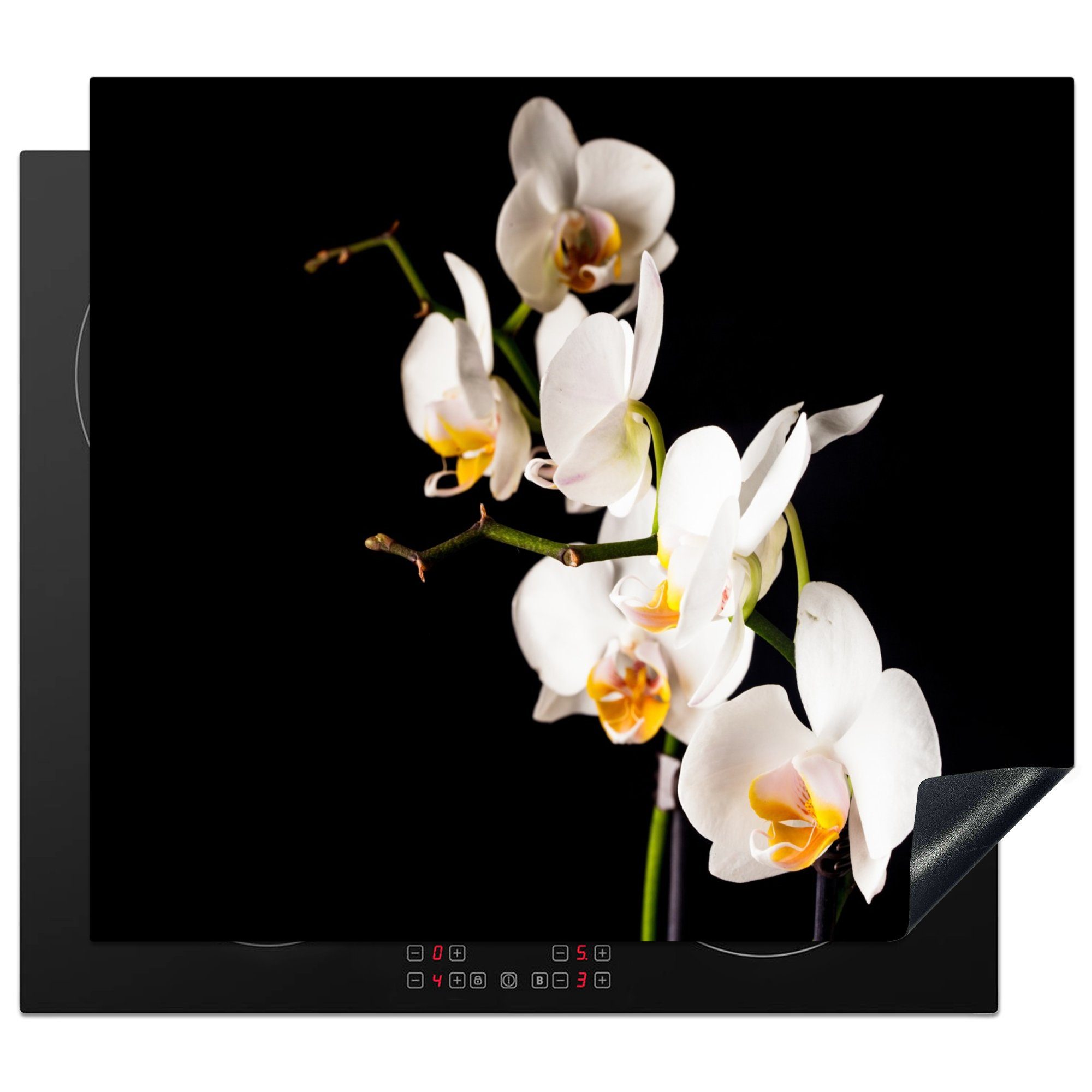 (1 tlg), Induktionsschutz, 57x51 Vinyl, Induktionskochfeld, Herdblende-/Abdeckplatte Pflanzen Ceranfeldabdeckung Orchidee cm, - Blumen Botanisch, - - MuchoWow