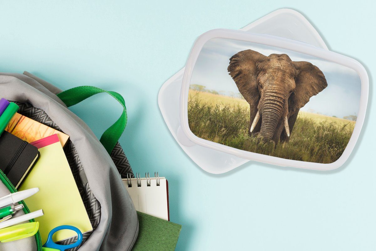 MuchoWow Lunchbox Afrikanischer Elefant und Jungs für (2-tlg), Mädchen und weiß Erwachsene, Brotdose, Kinder Kunststoff, Vorderansicht, für Brotbox