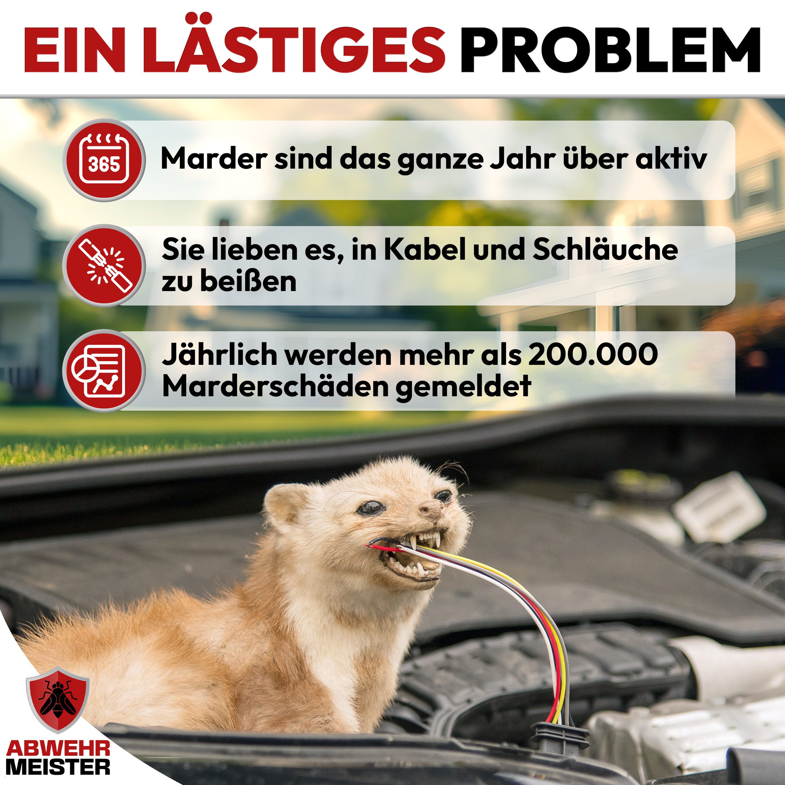 ABWEHR MEISTER Vergrämungsmittel ORIGINAL Marderschreck-Kugeln, Set, 4-St., Marderschutz für bis zu 6 Monate – Bild 2 von 5
