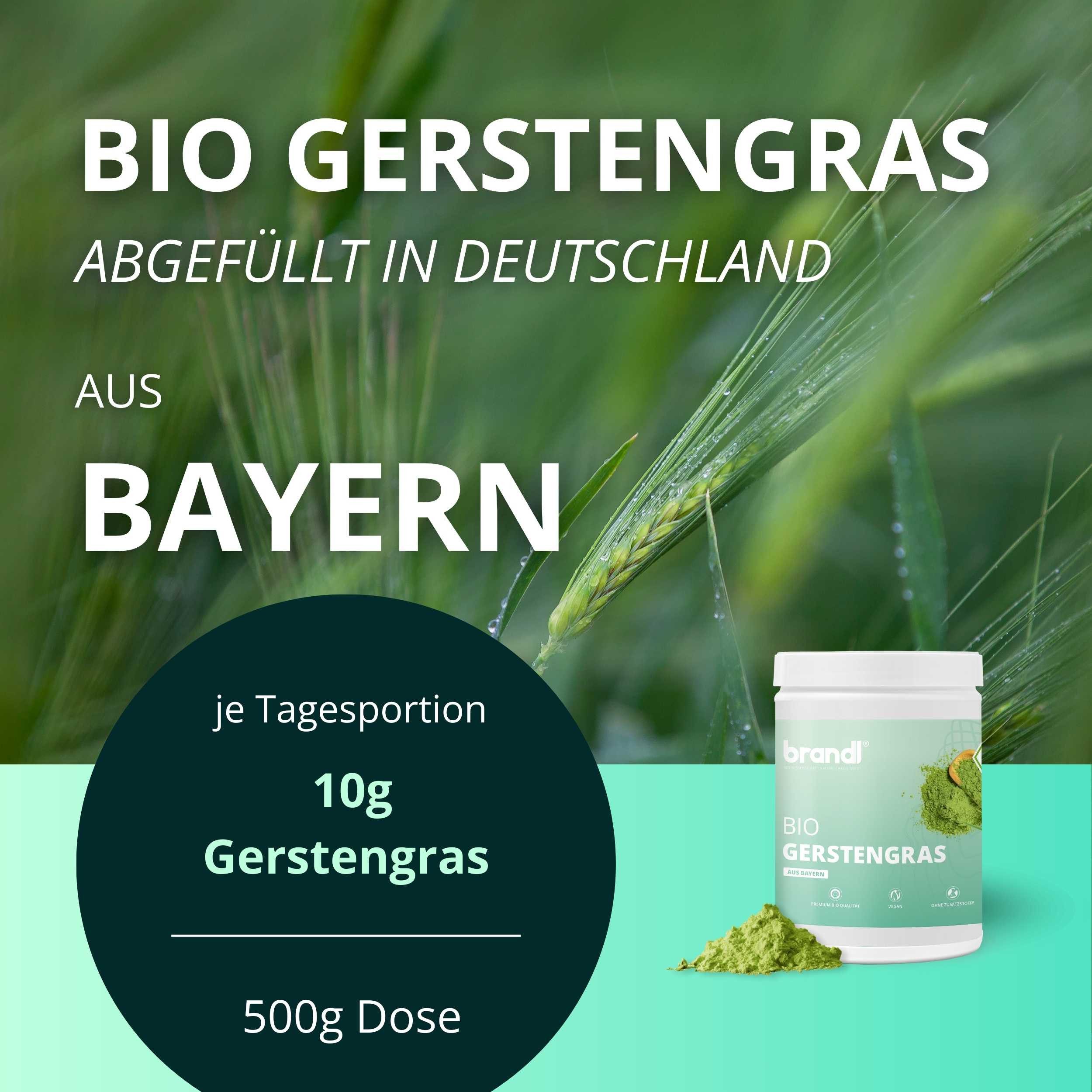 Brandl Nutrition Gerstengraspulver BIO -natürliches Gerstengras Premiumqualität brandl® Pulver, 500 g, Abgefüllt in Deutschland, laborgeprüft - 500g Gerstengras Pulver