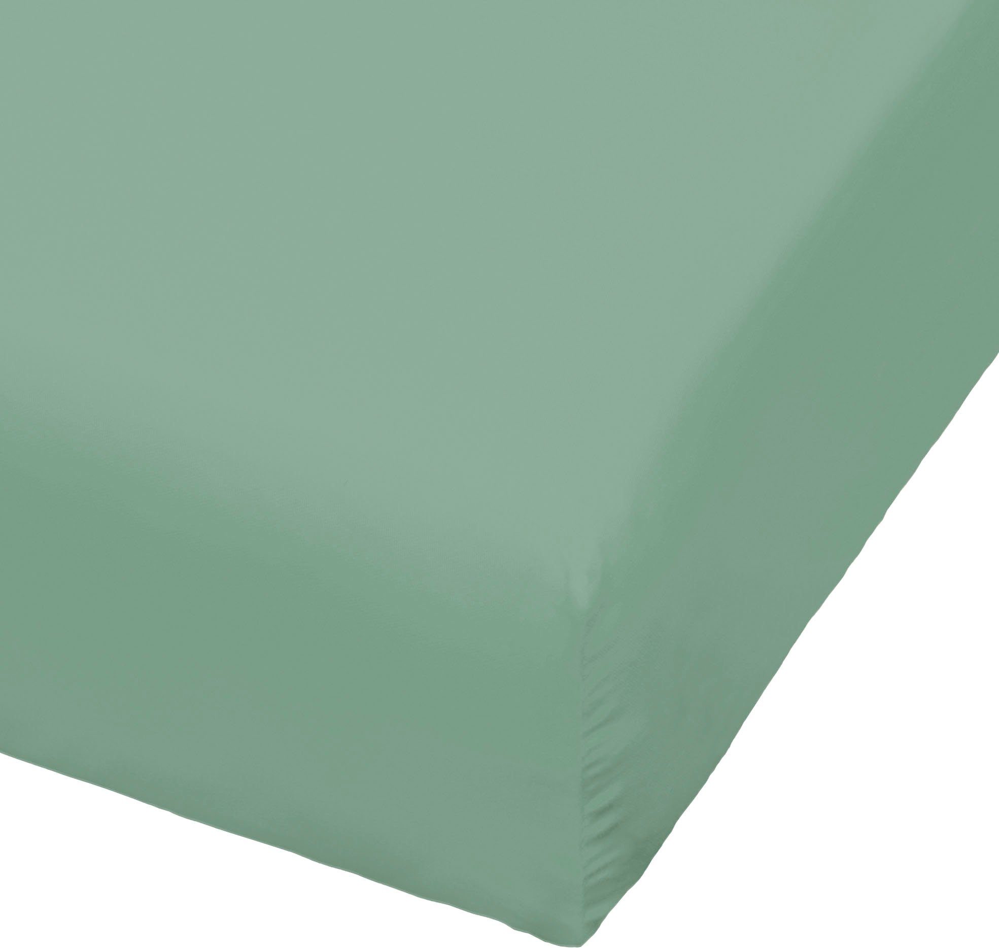 BIERBAUM Натяжные простыни Jersey, Jersey, Gummizug: rundum, (1 Stück), 95 % Baumwolle und 5 % Elasthan für optimale Weichheit und Dehnbarkeit