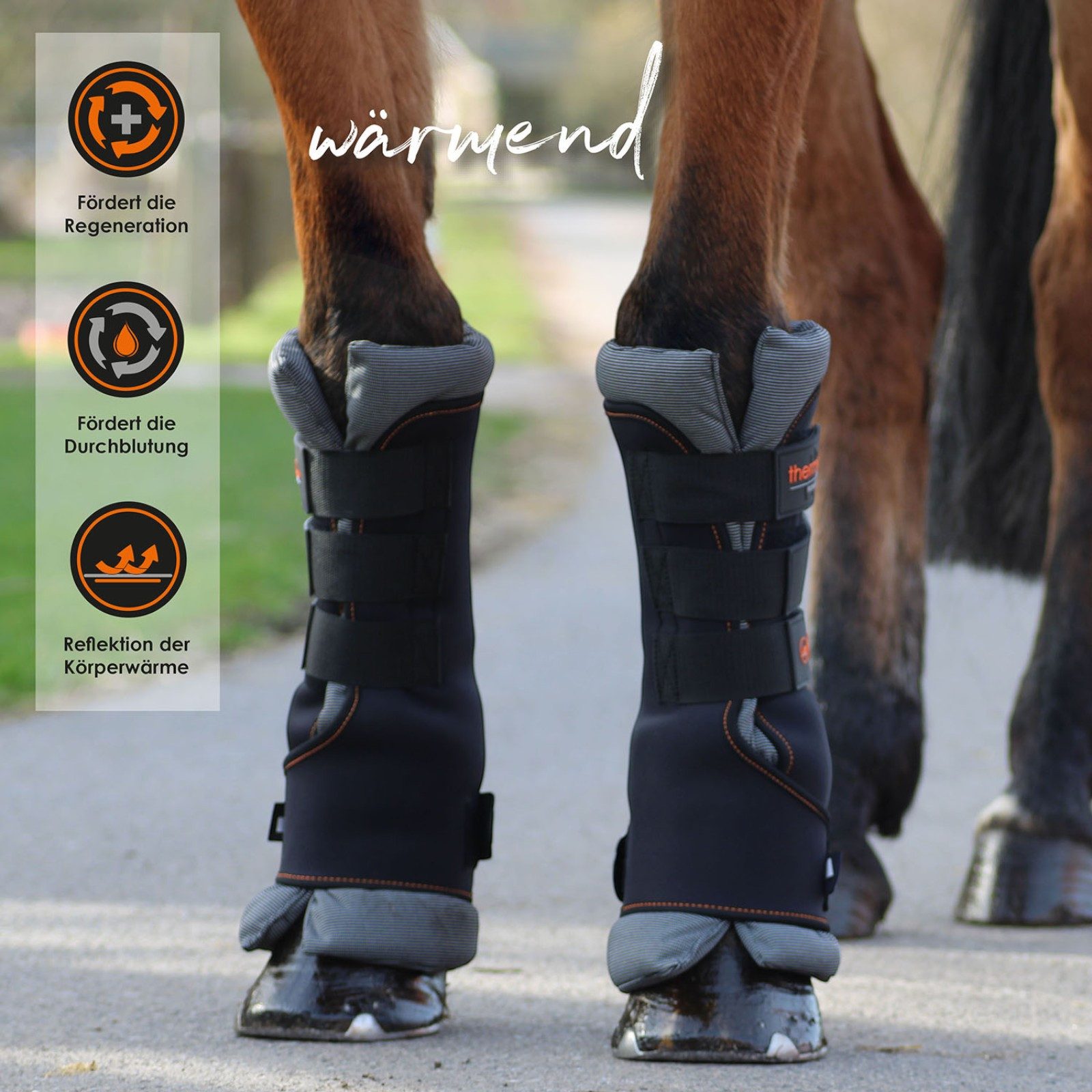 EQuest Gamaschen Thermo Boots schwarz, 2er Set, Gamasche für Pferde, L Warmblut/Full