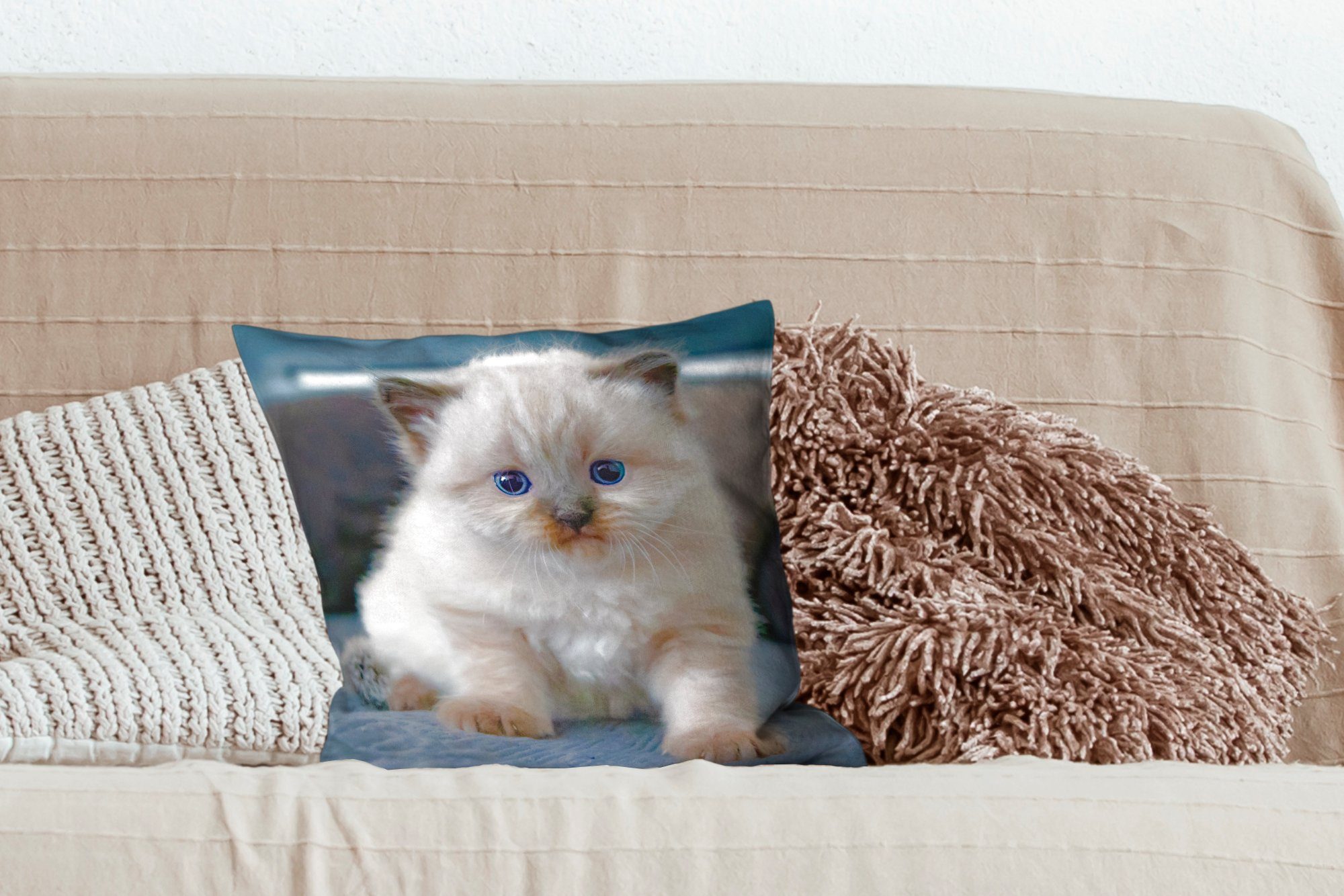 Wohzimmer, Katze Kätzchen Zierkissen Deko, mit Füllung Schlafzimmer, für MuchoWow Dekokissen - Sofakissen - Tier,