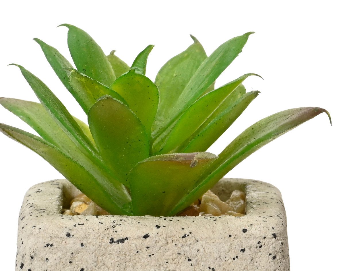 Künstliche Zimmerpflanze, Decoris season decorations, Sukkulenten Kunstpfla günstig online kaufen